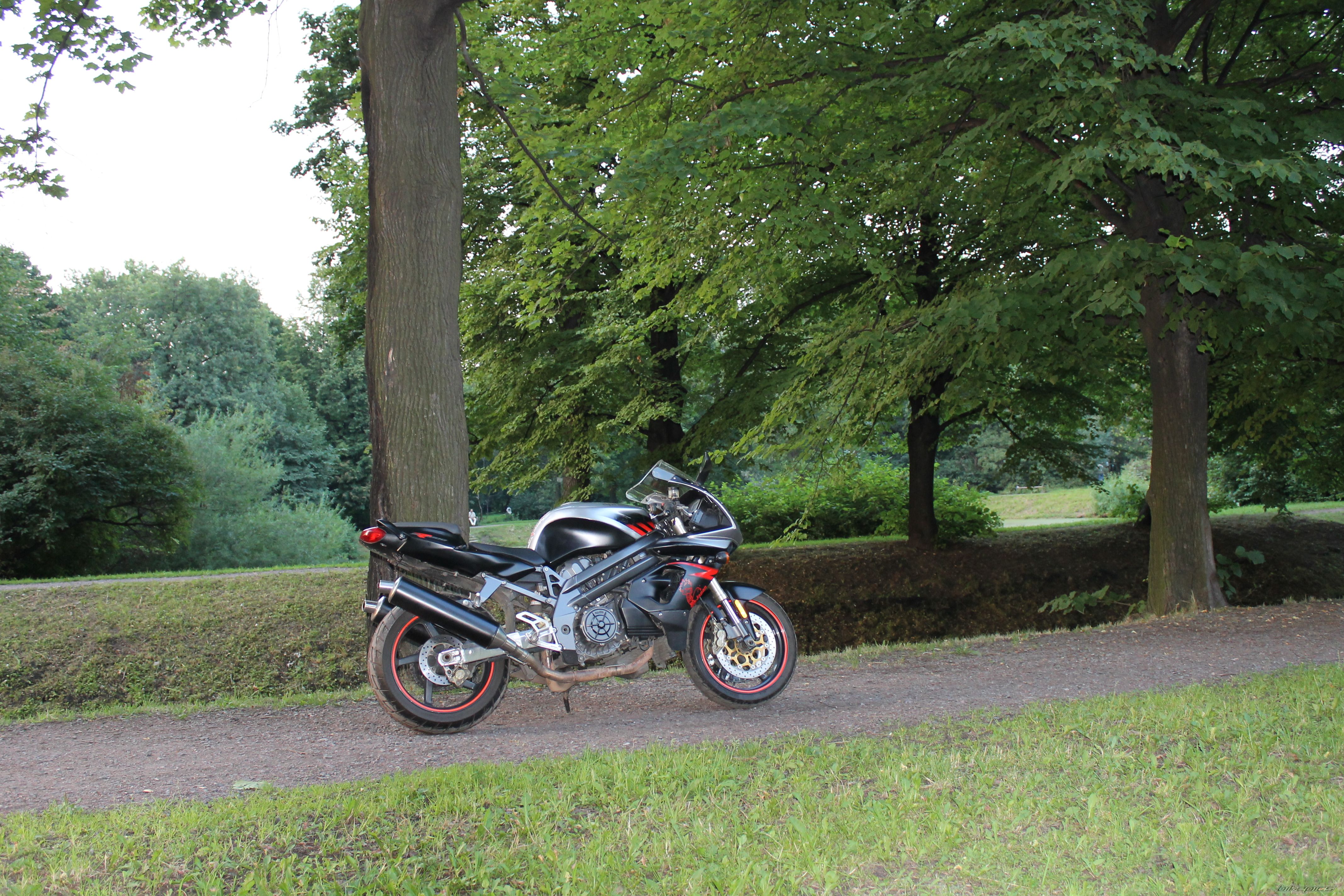Photo 2435139