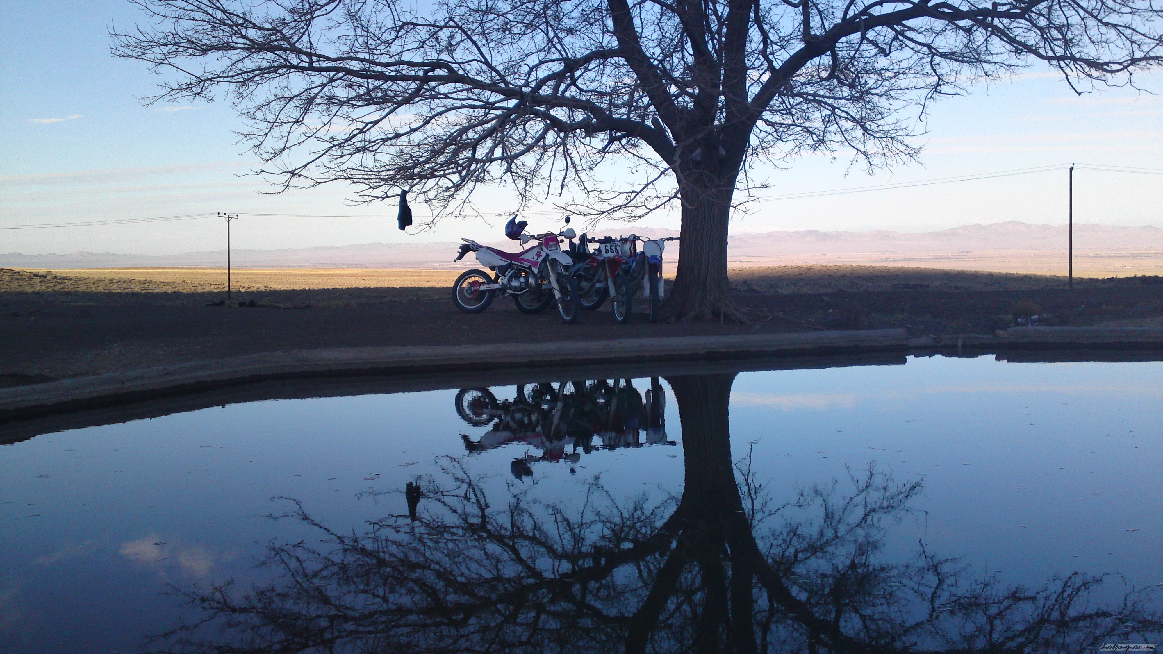 Photo 2435149