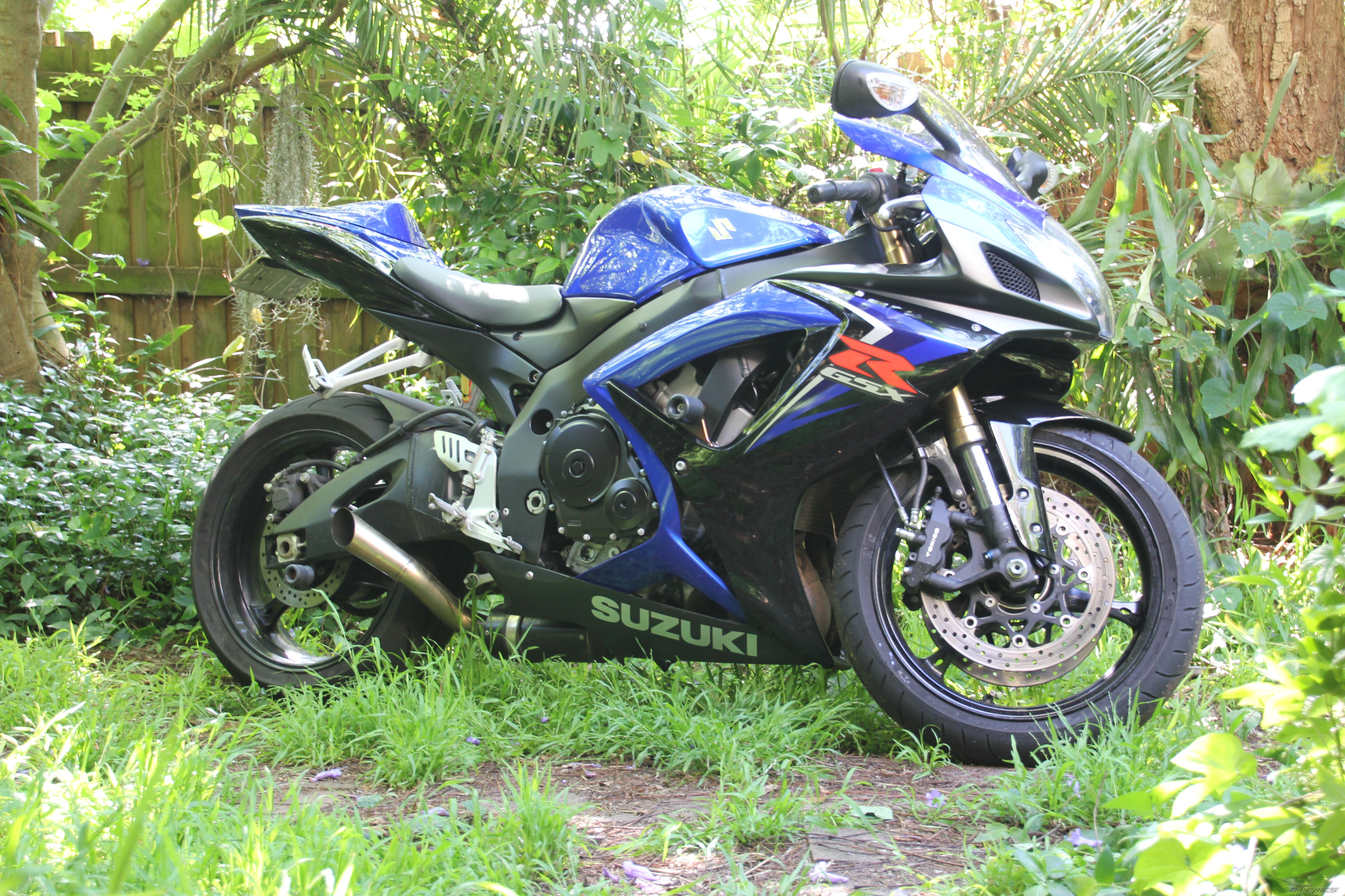 Photo 2435213
