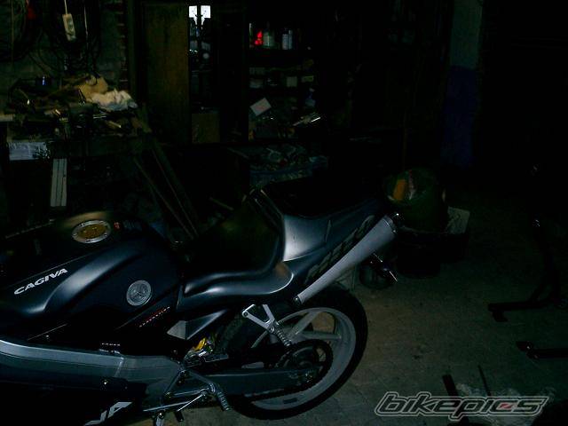 Photo 243530