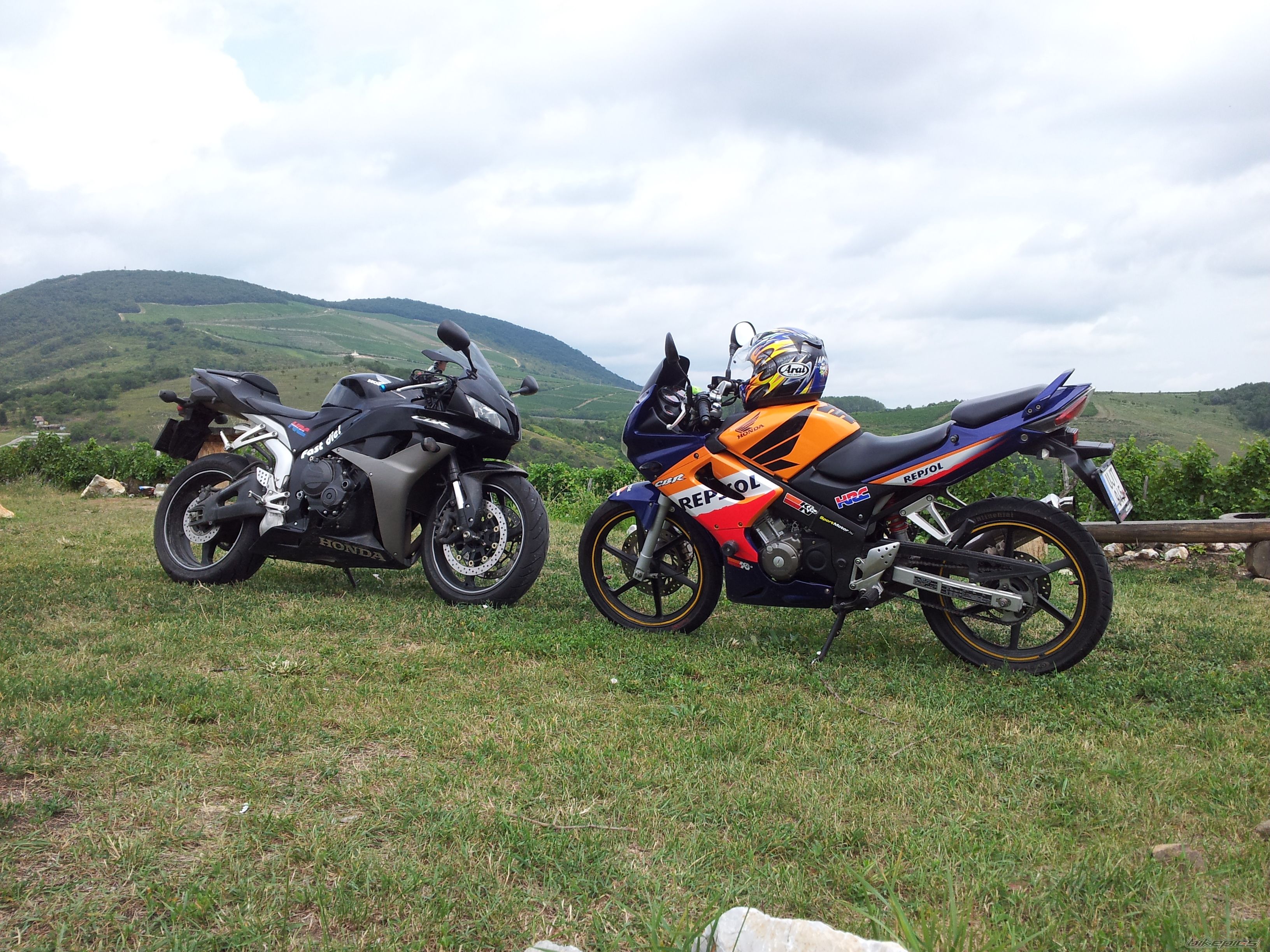 Photo 2435362