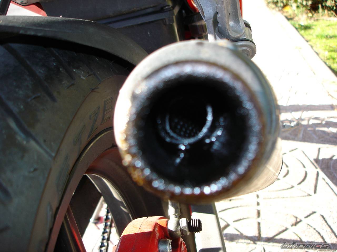 Photo 243538