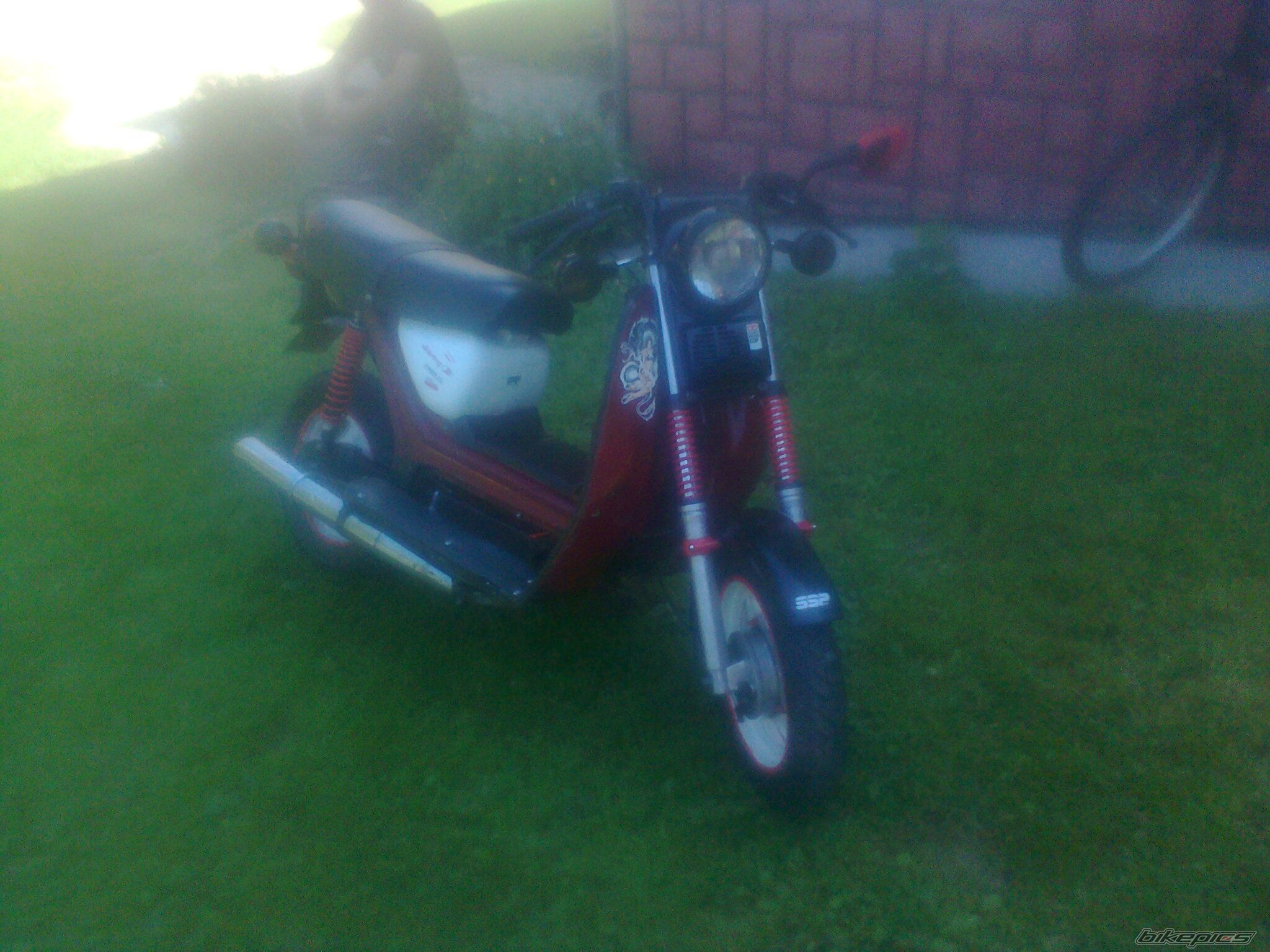 Photo 2435383