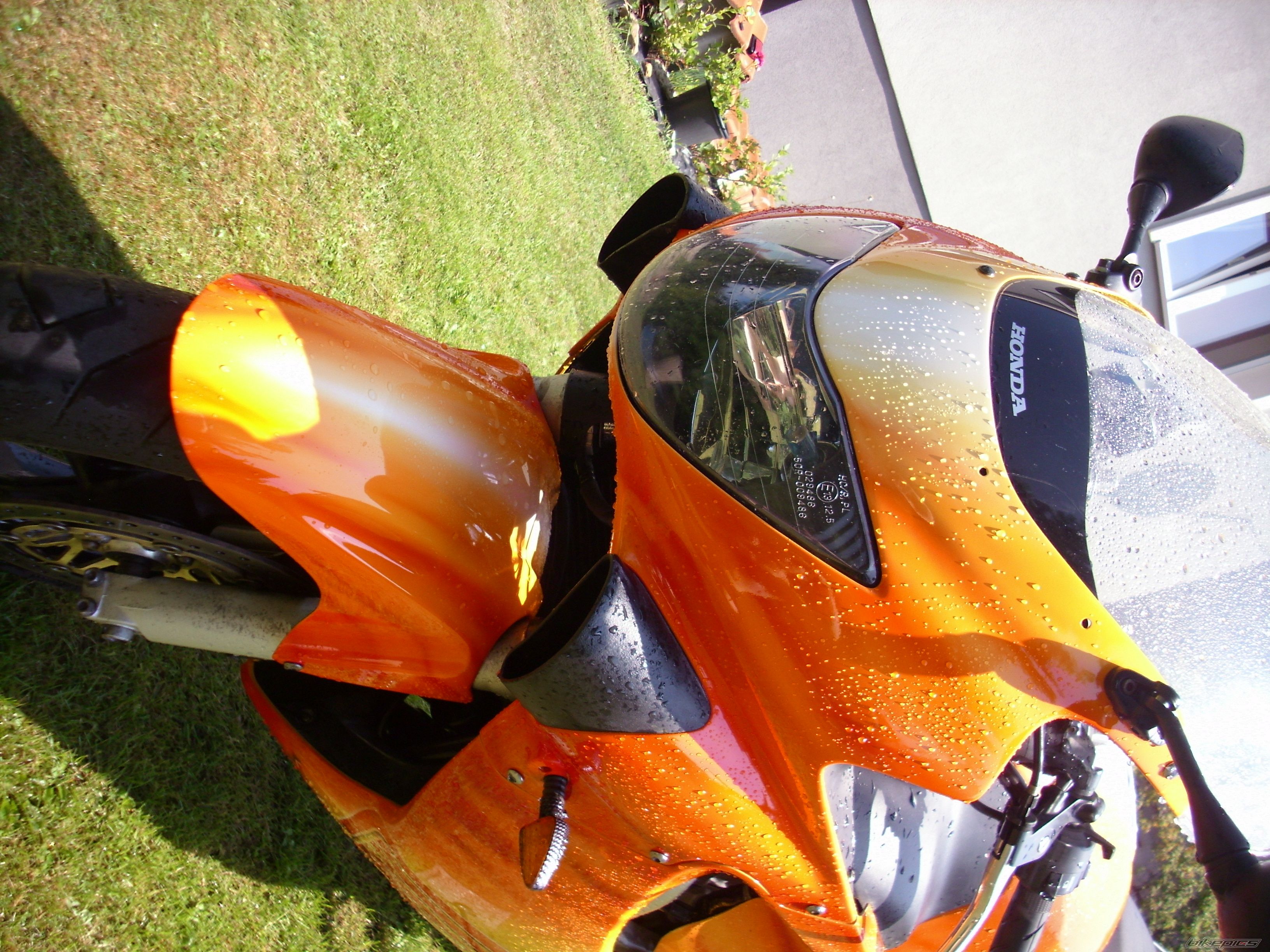 Photo 2435444