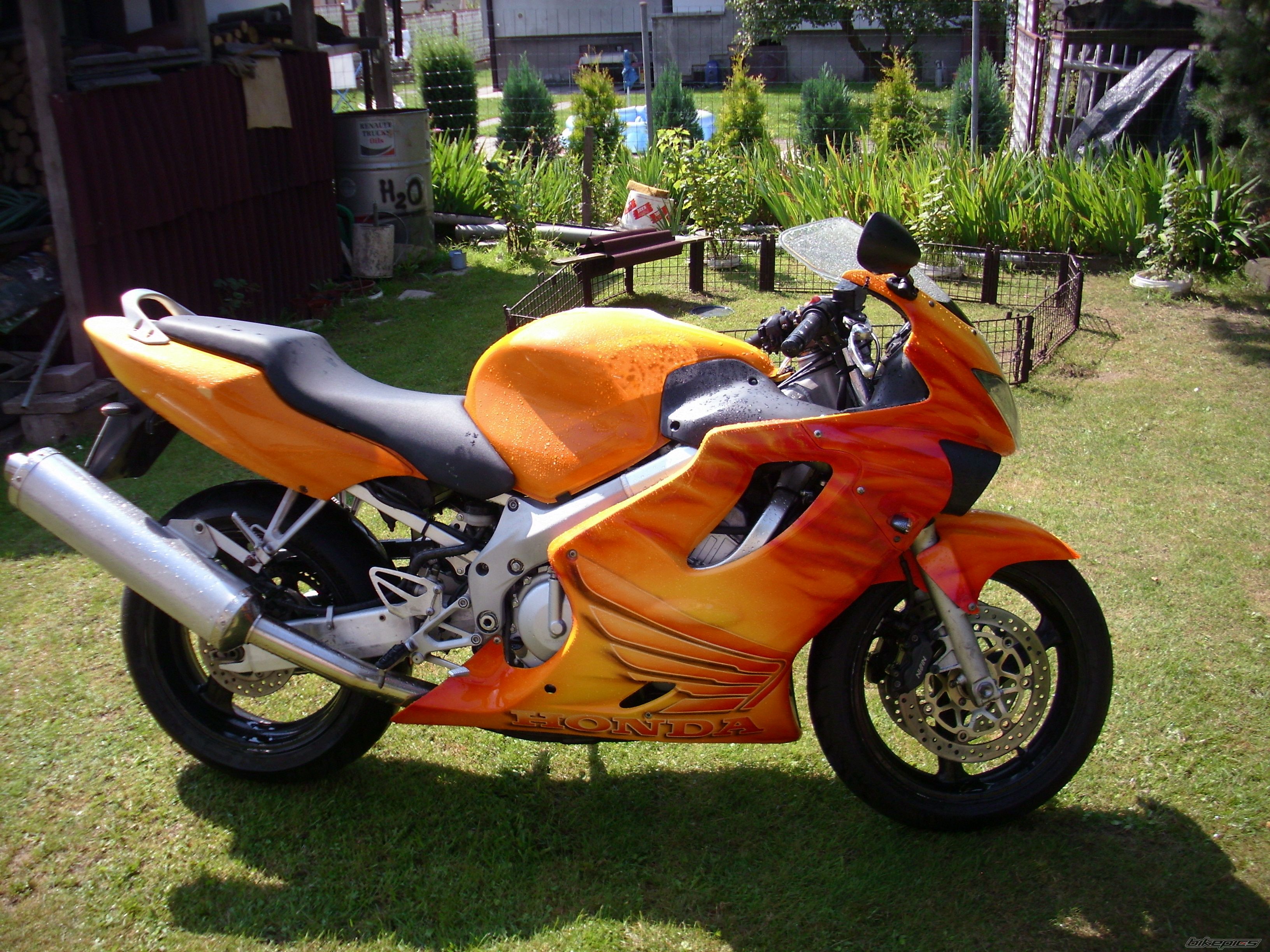 Photo 2435448