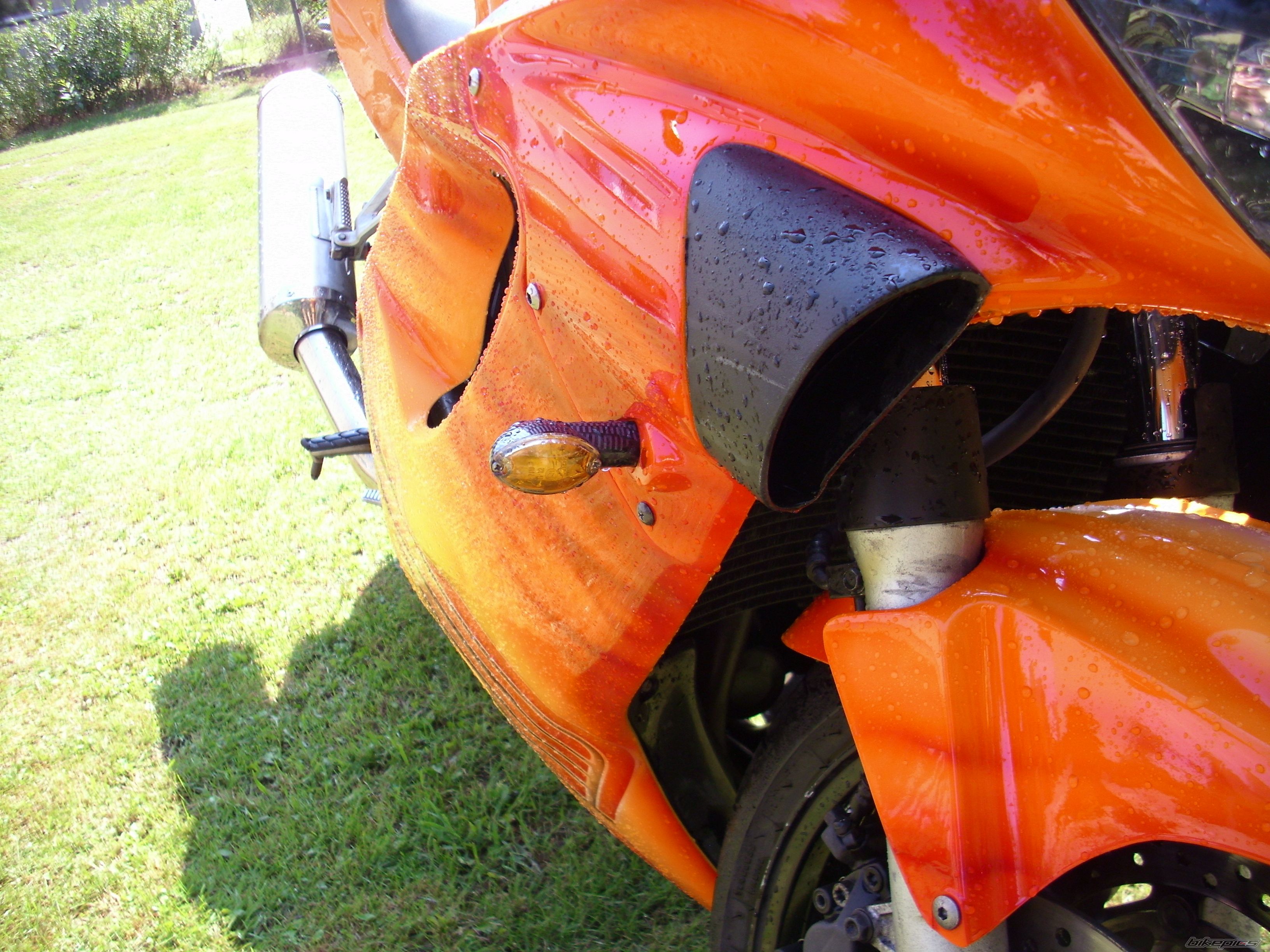 Photo 2435453