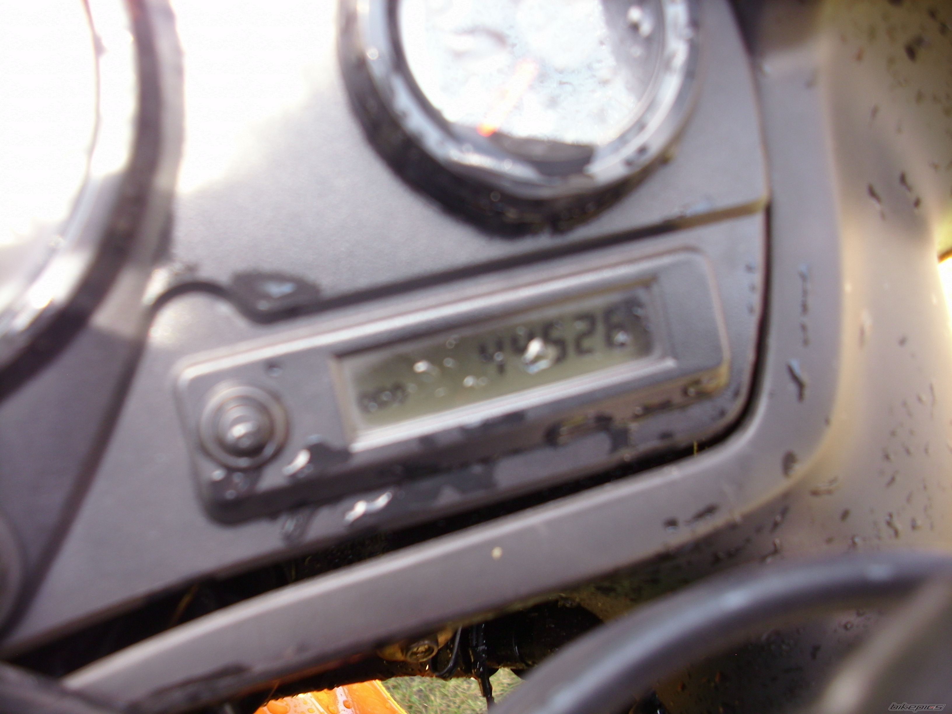 Photo 2435454