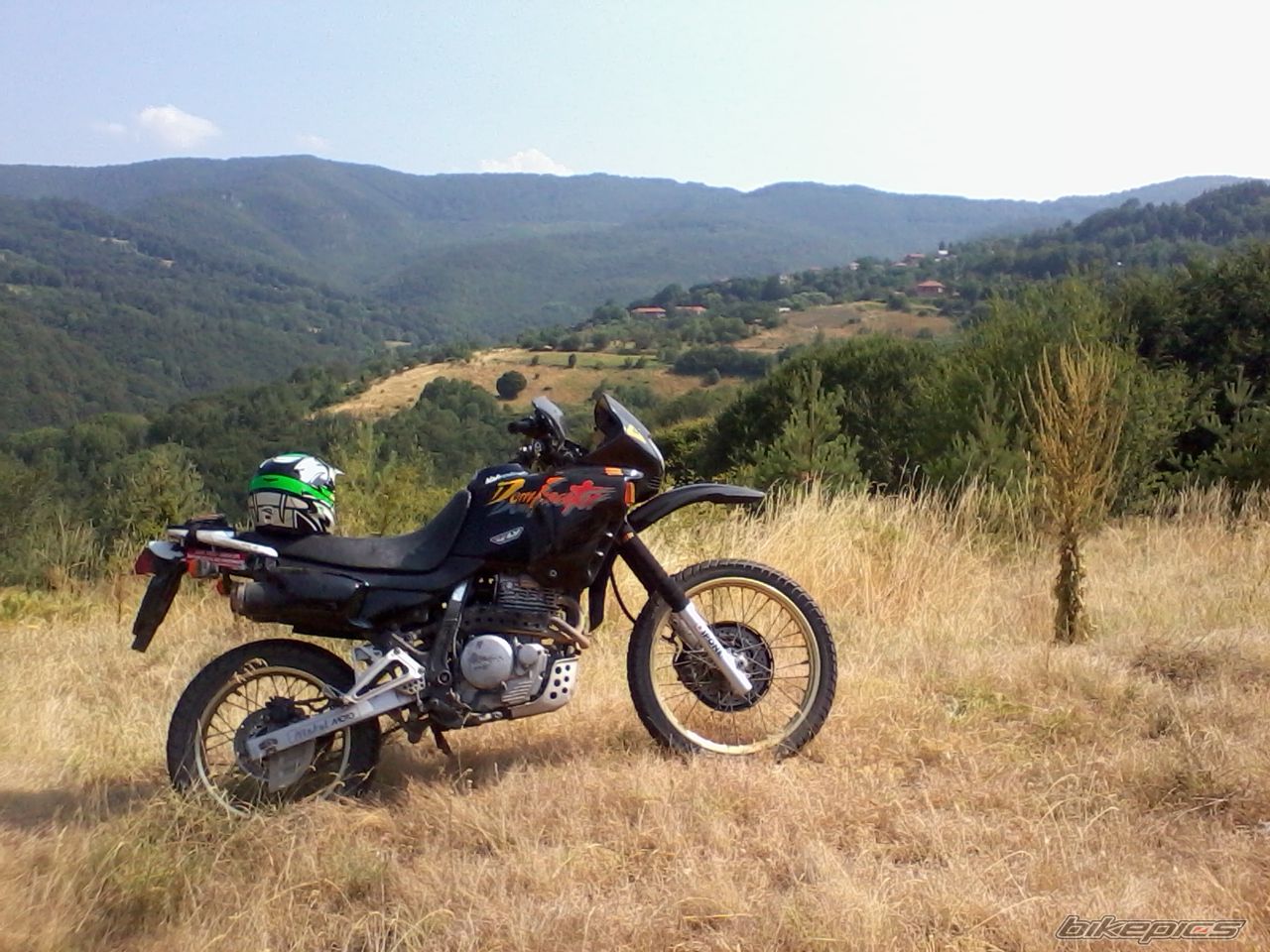 Photo 2435465