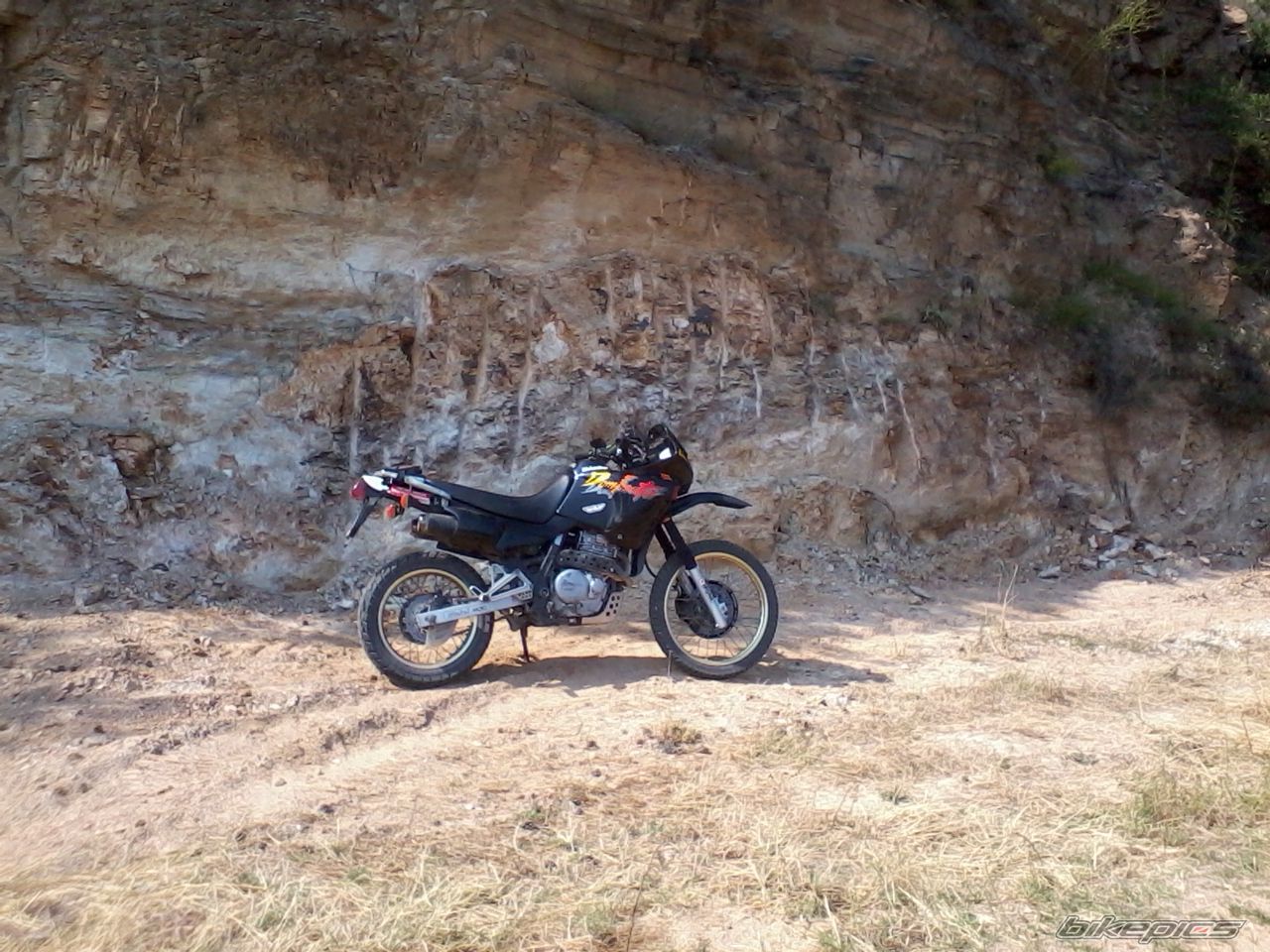 Photo 2435468