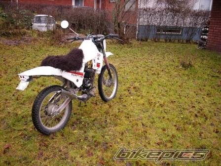Photo 243548
