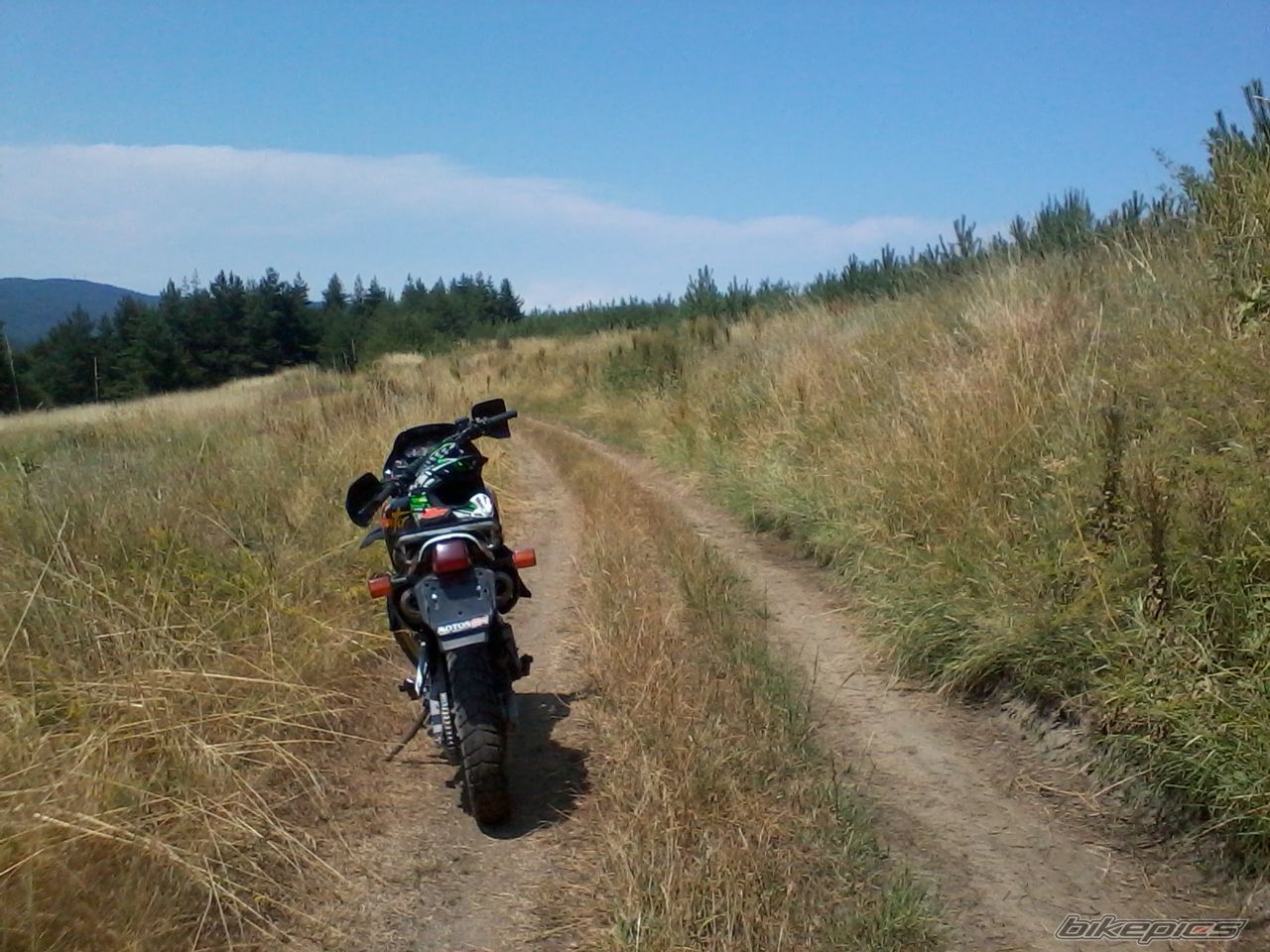Photo 2435494