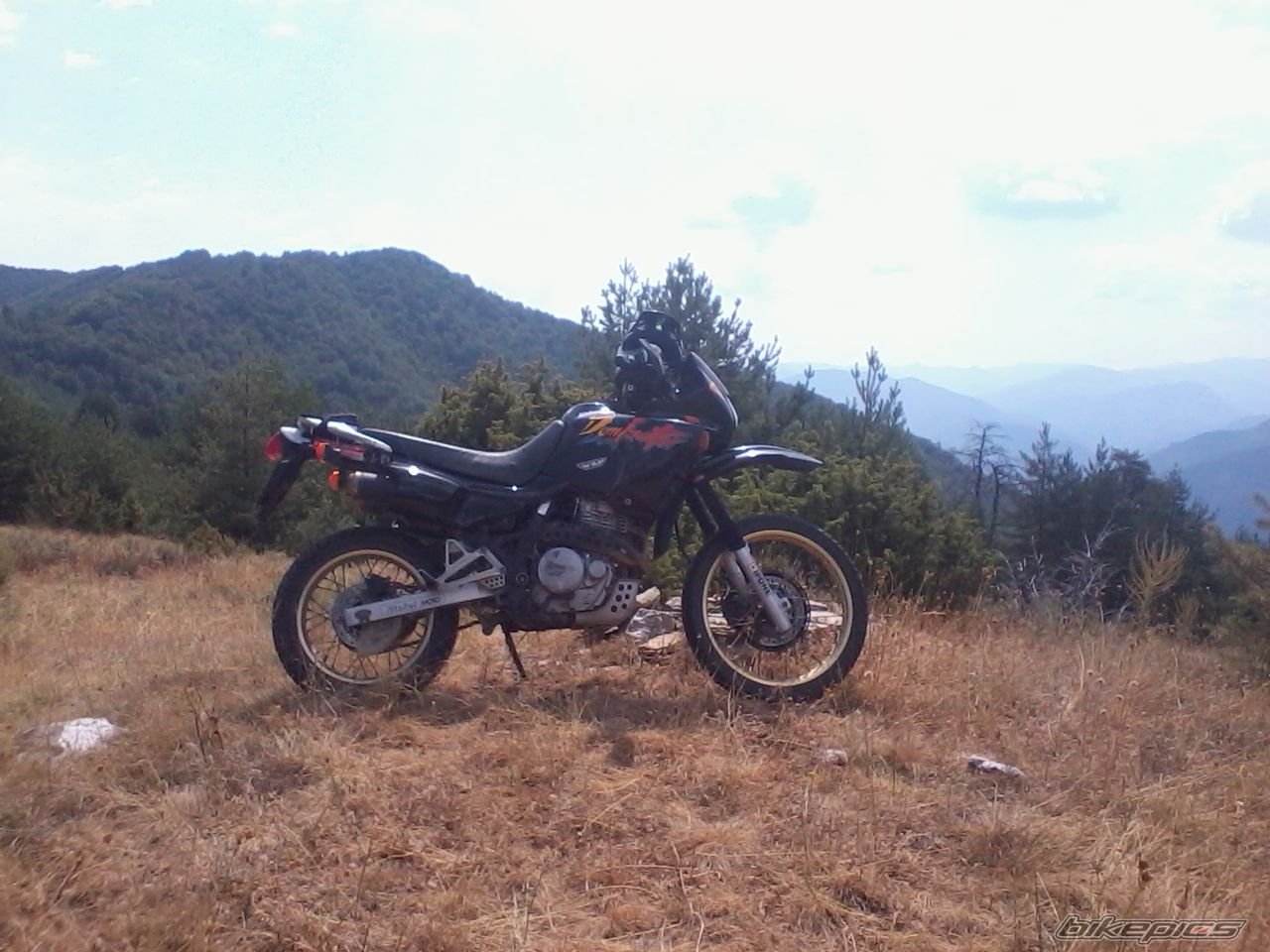 Photo 2435499
