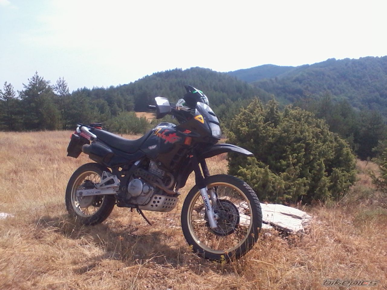 Photo 2435500