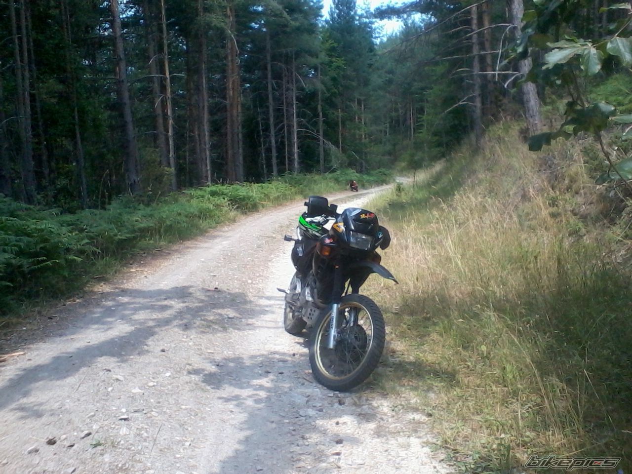 Photo 2435501