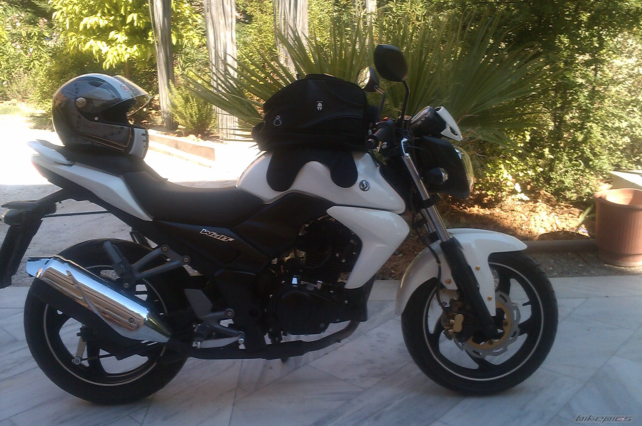 Photo 2435545