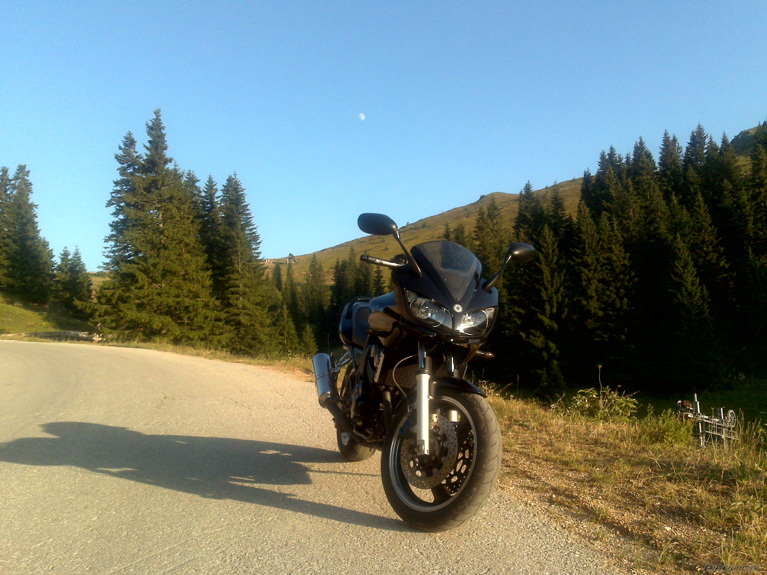 Photo 2435593