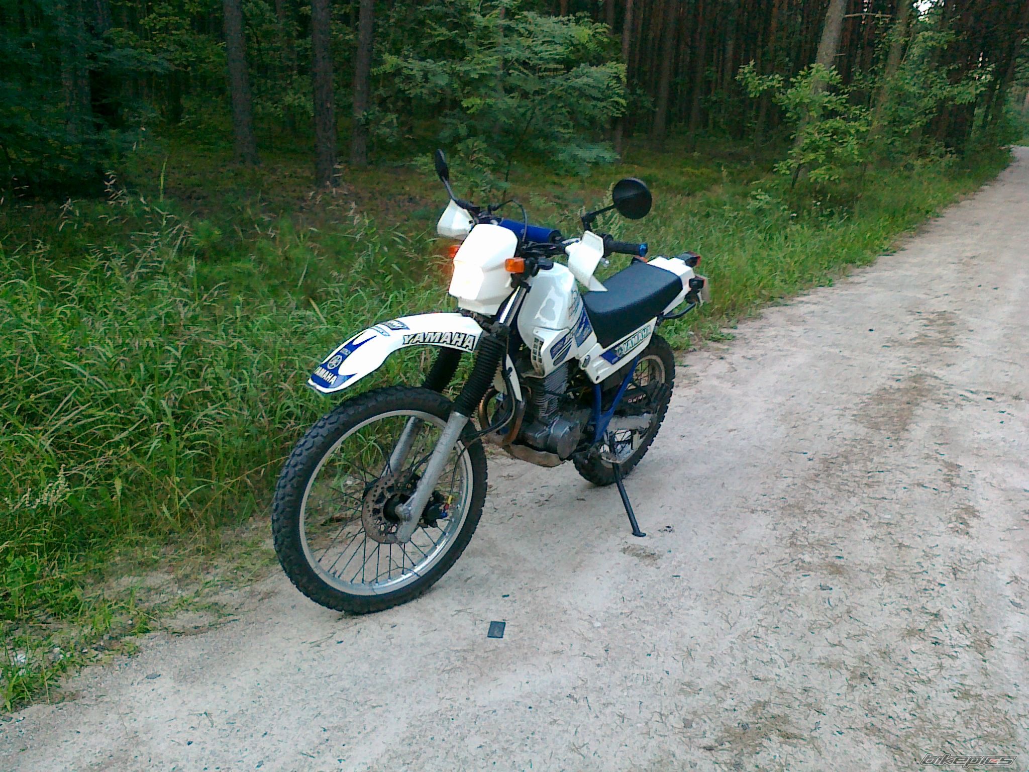 Photo 2435597