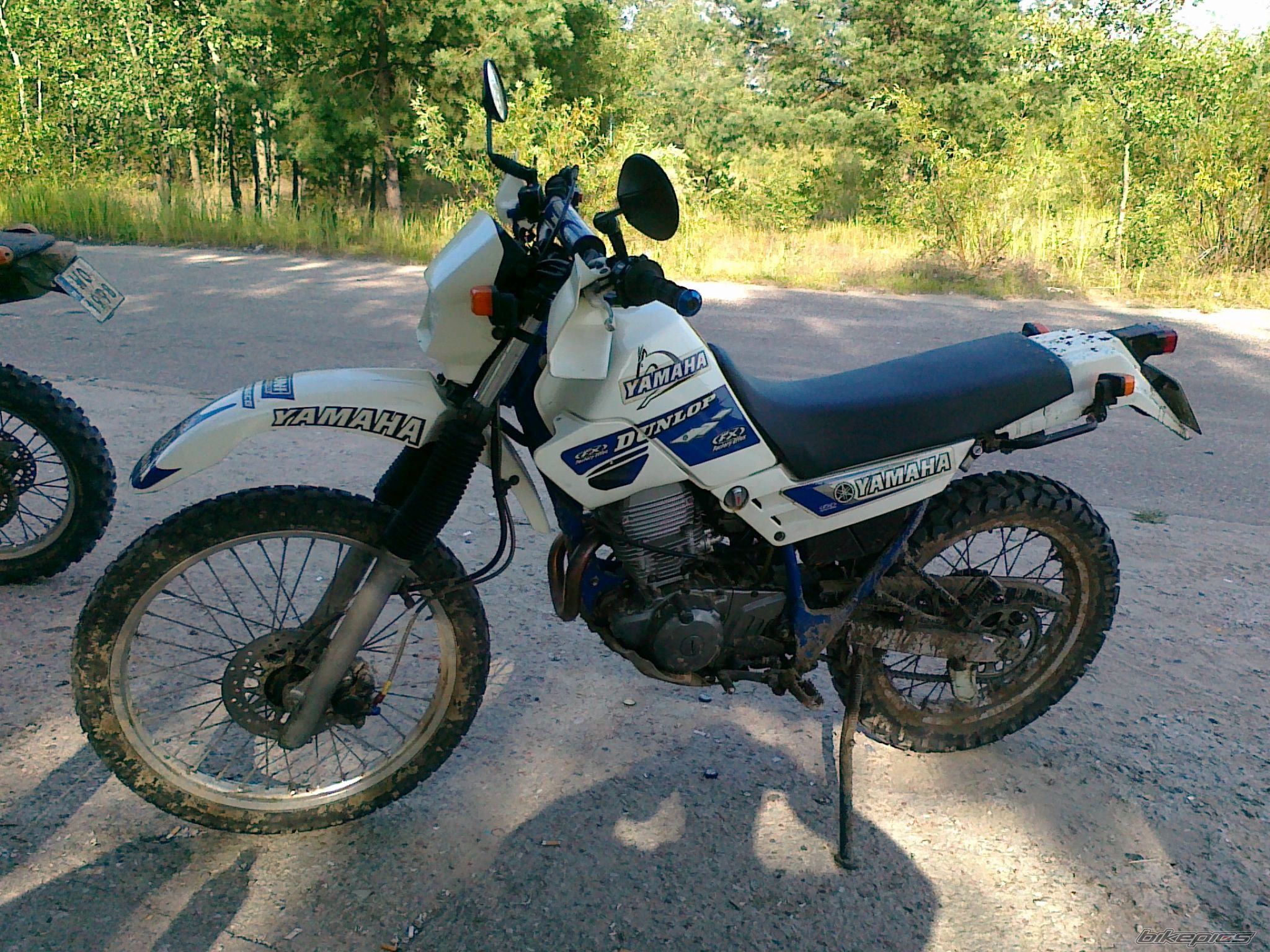 Photo 2435599