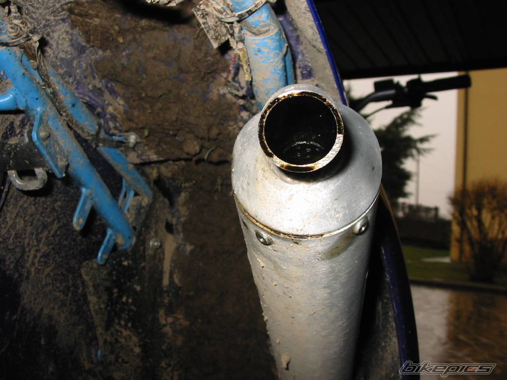 Photo 243563