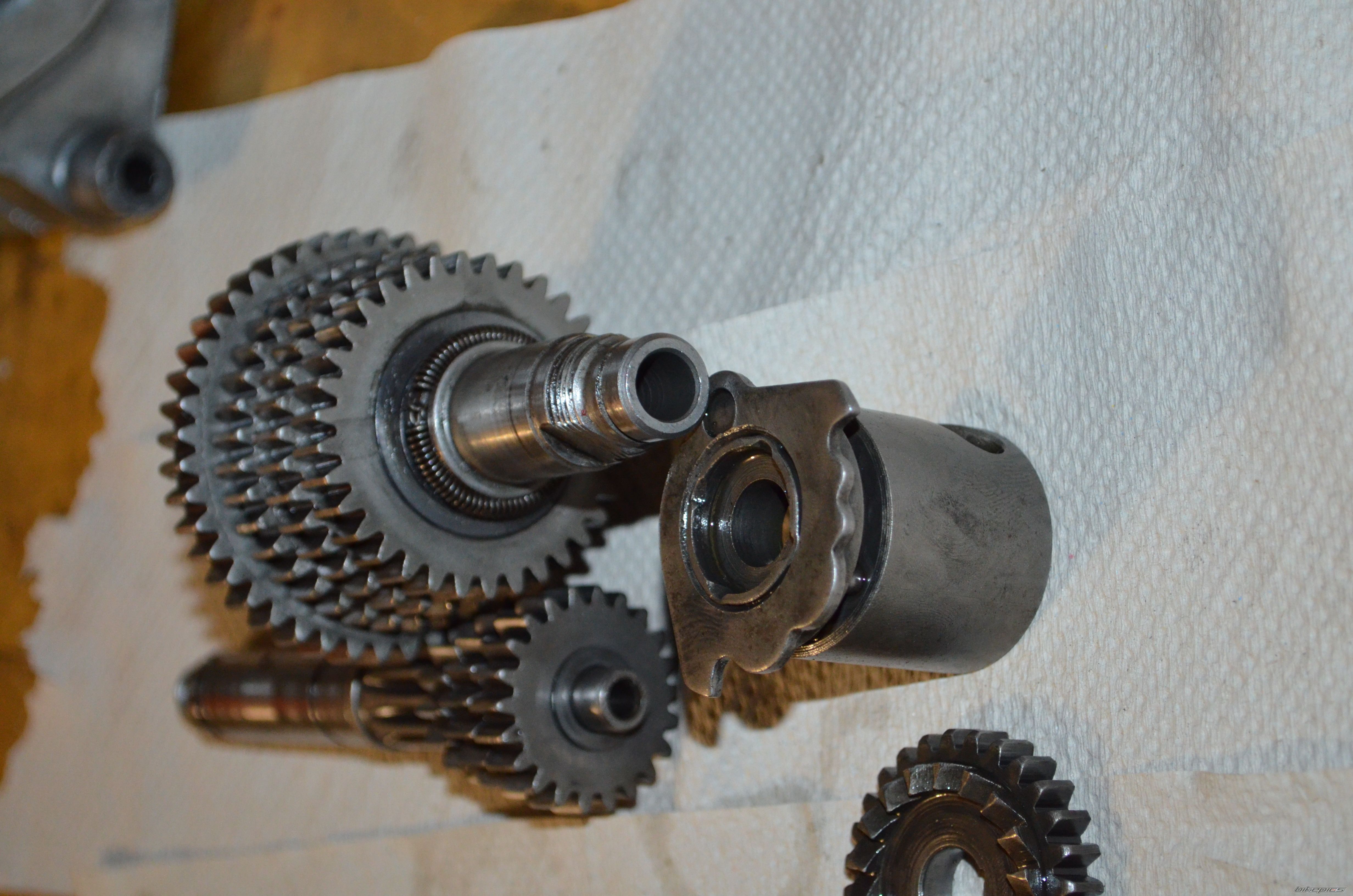 Photo 2435636