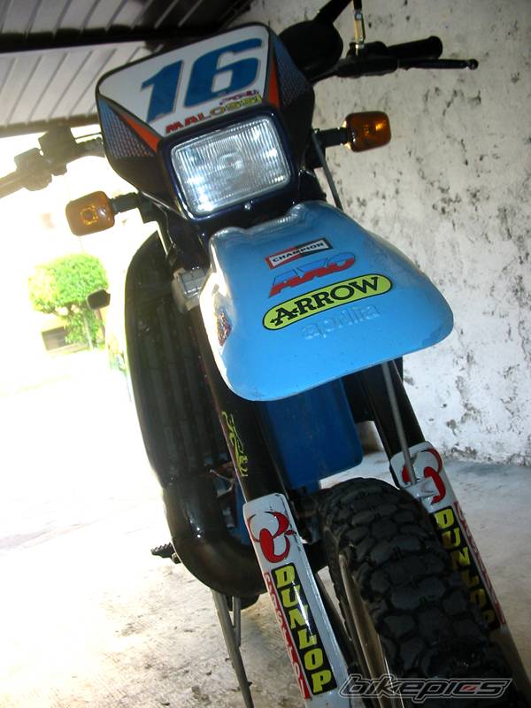 Photo 243565