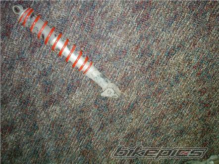 Photo 243574