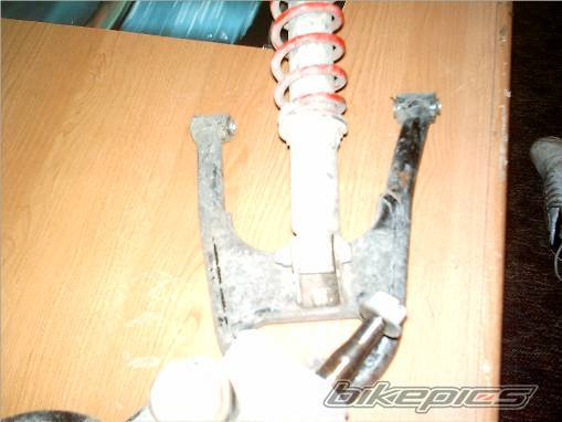 Photo 243575