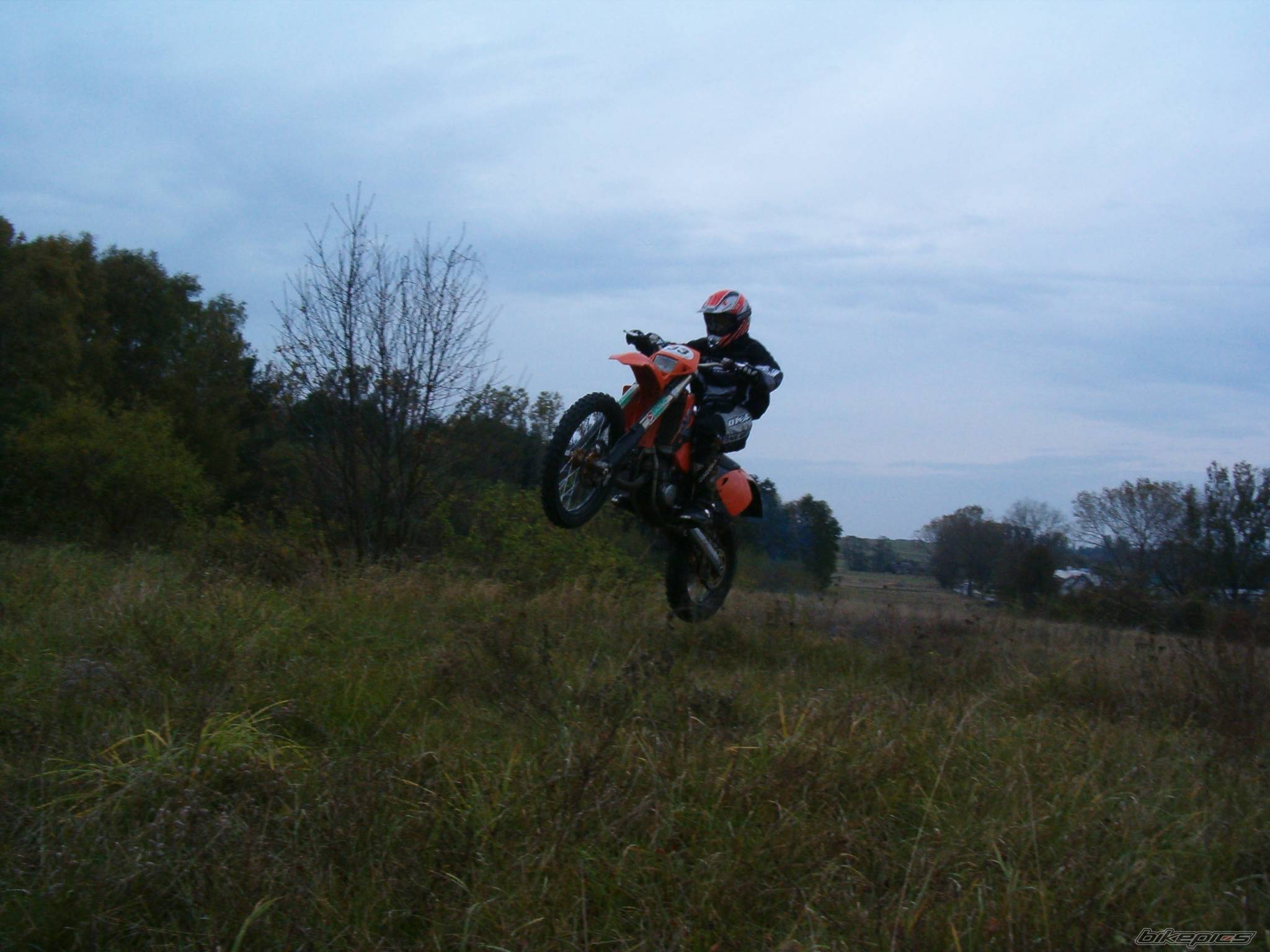 Photo 243586