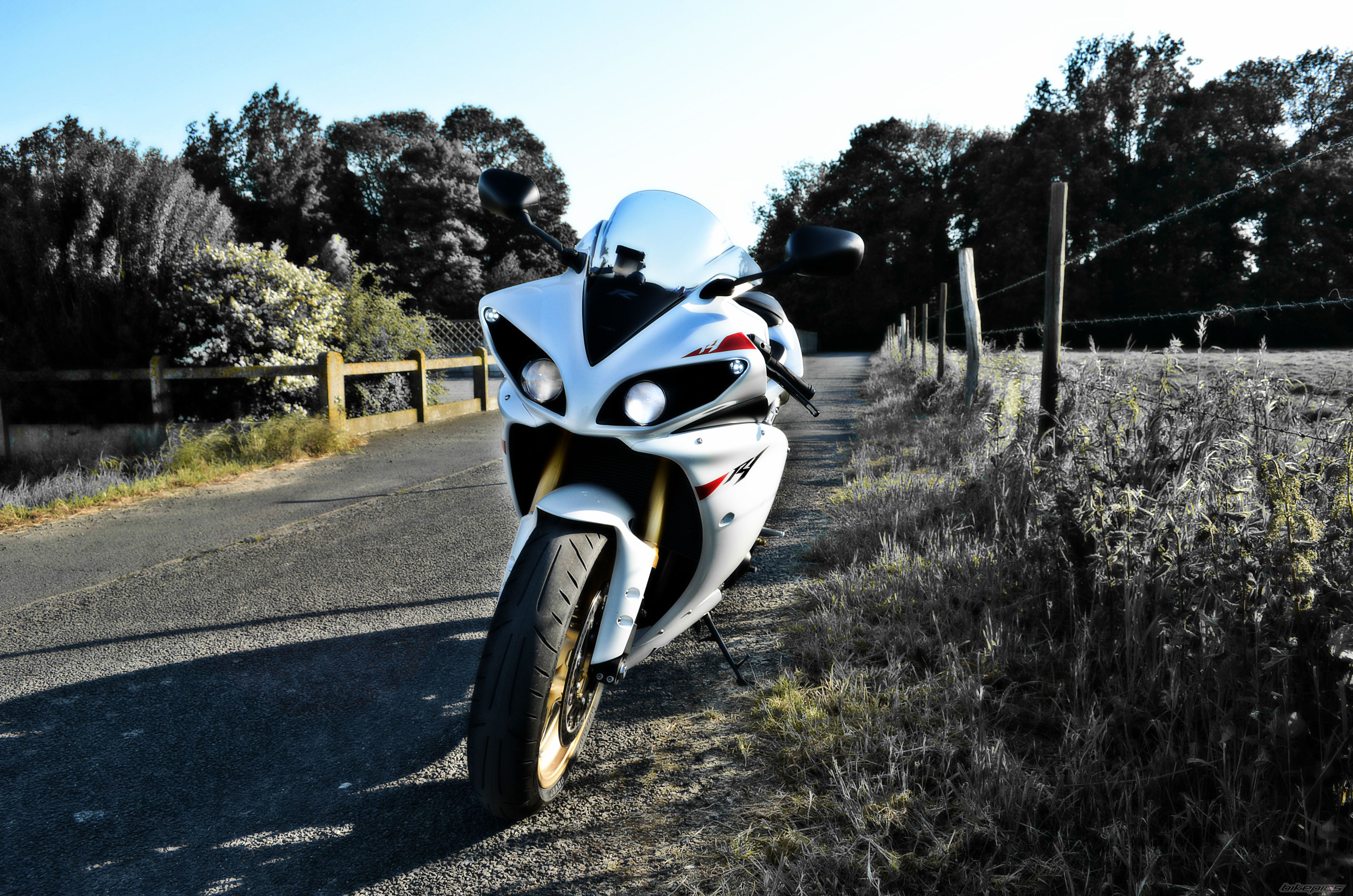 Photo 2435885