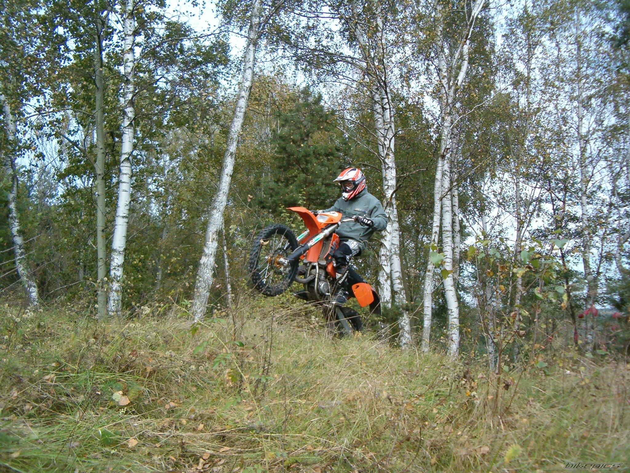 Photo 243593