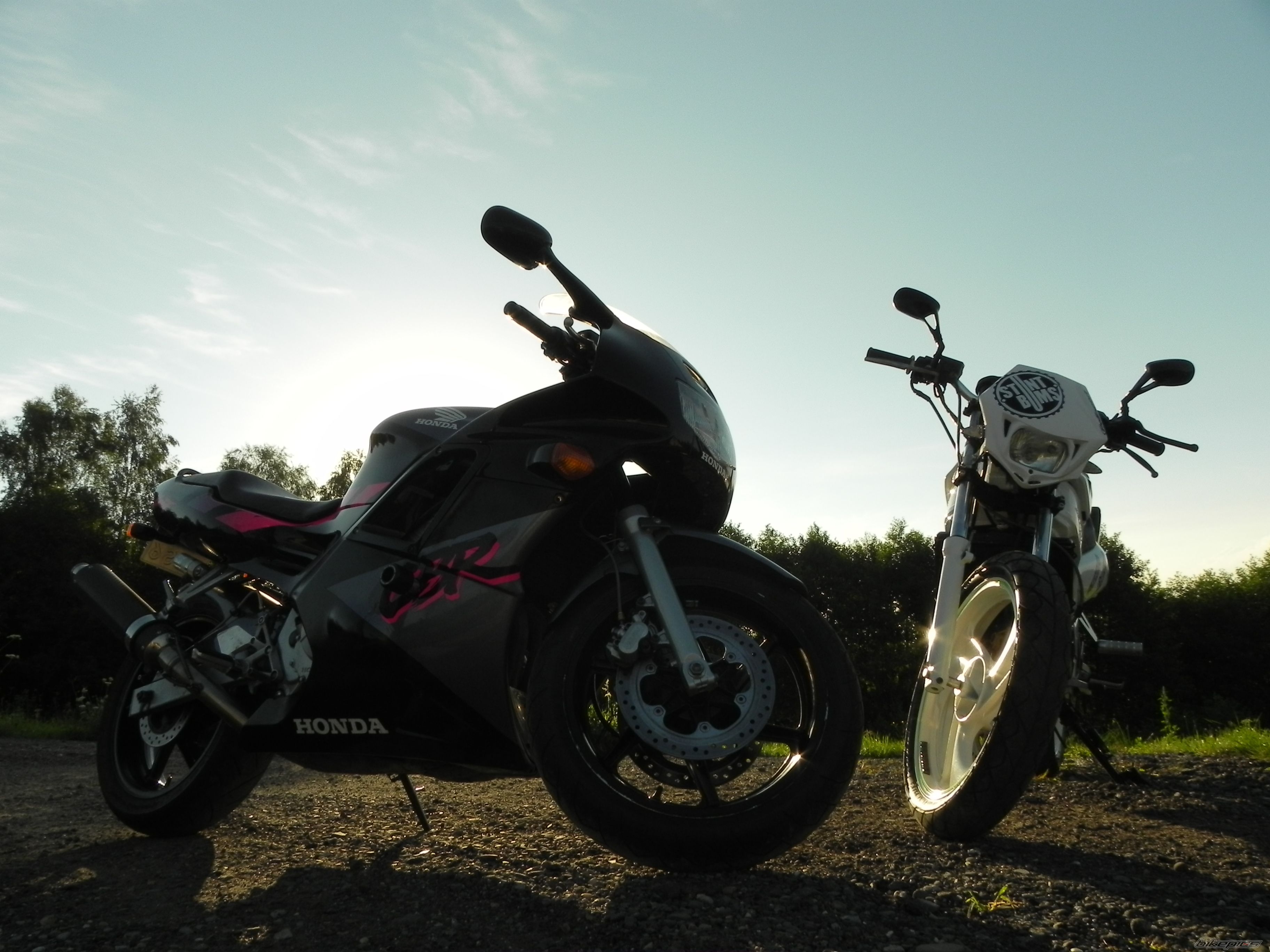 Photo 2436086