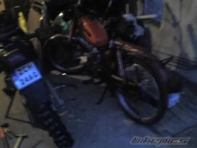 Photo 2436120