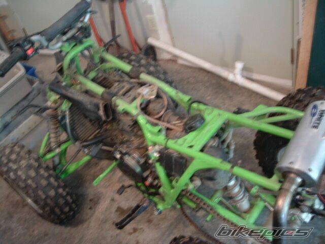 Photo 243613