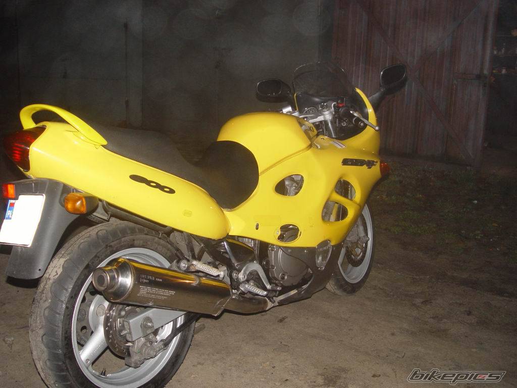 Photo 243627