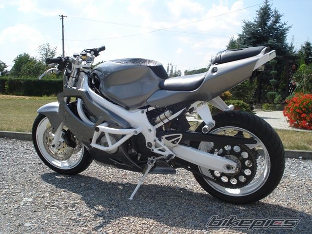 Photo 2436277