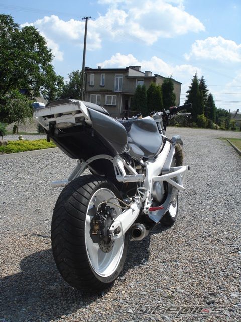 Photo 2436279