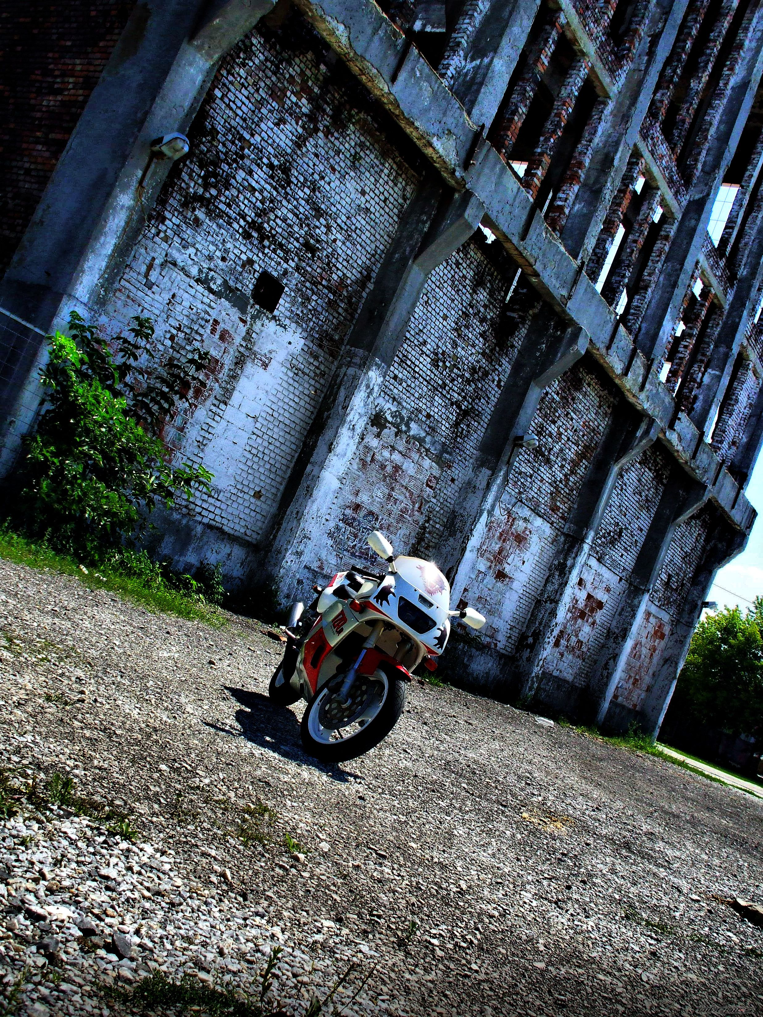 Photo 2436281