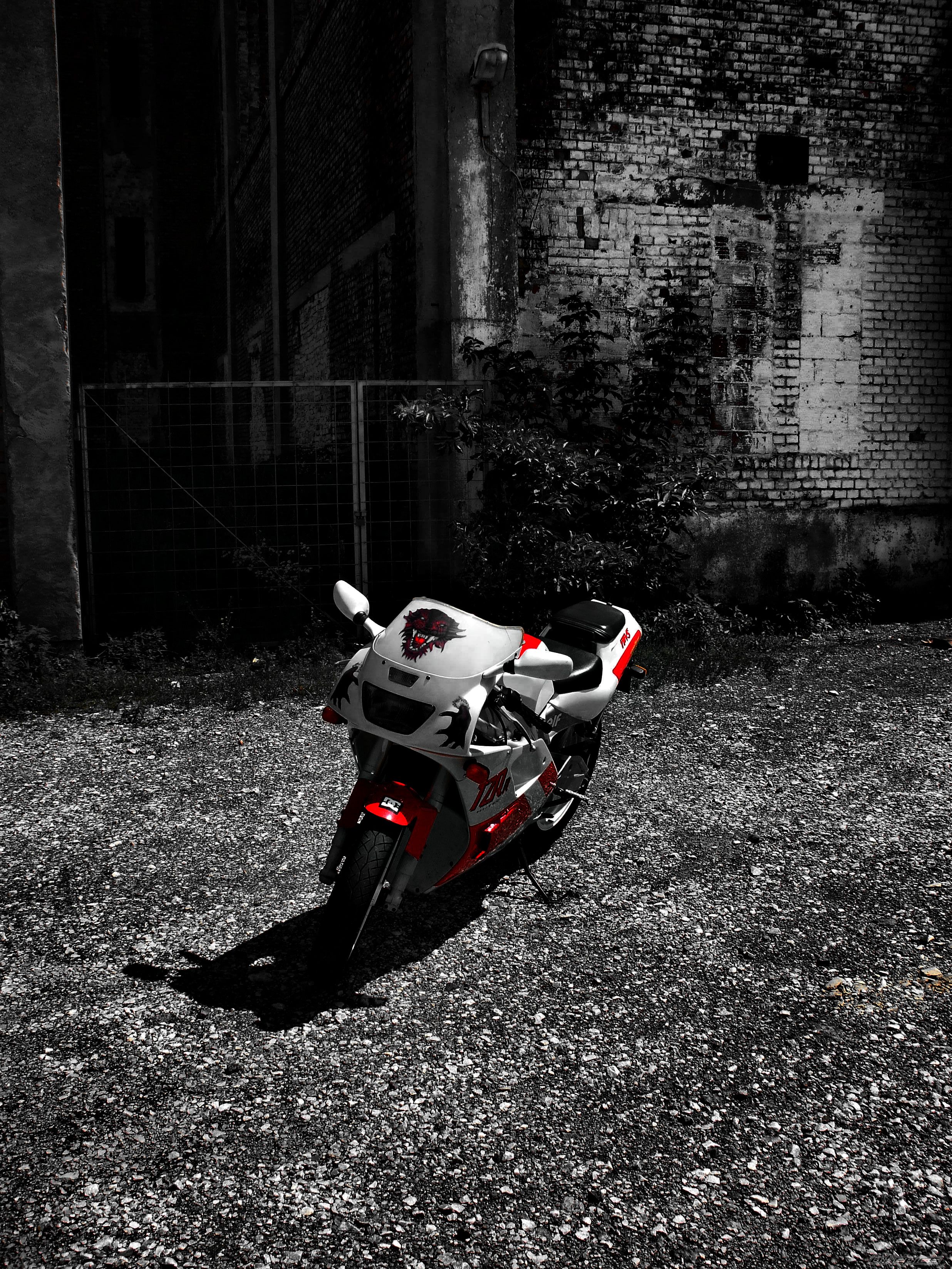 Photo 2436284