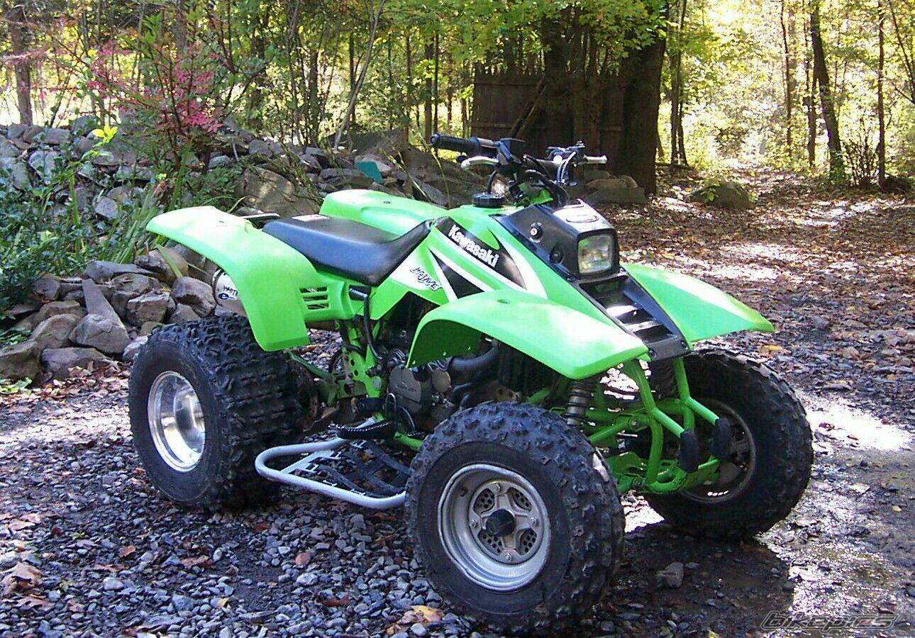 Photo 243629