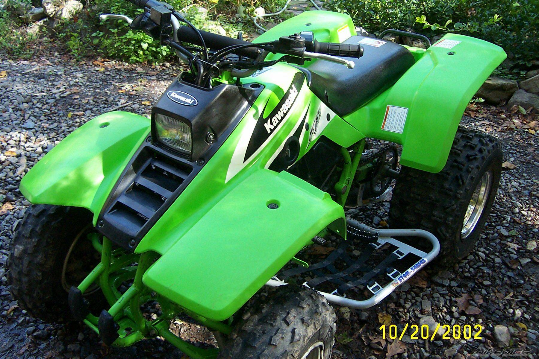 Photo 243630