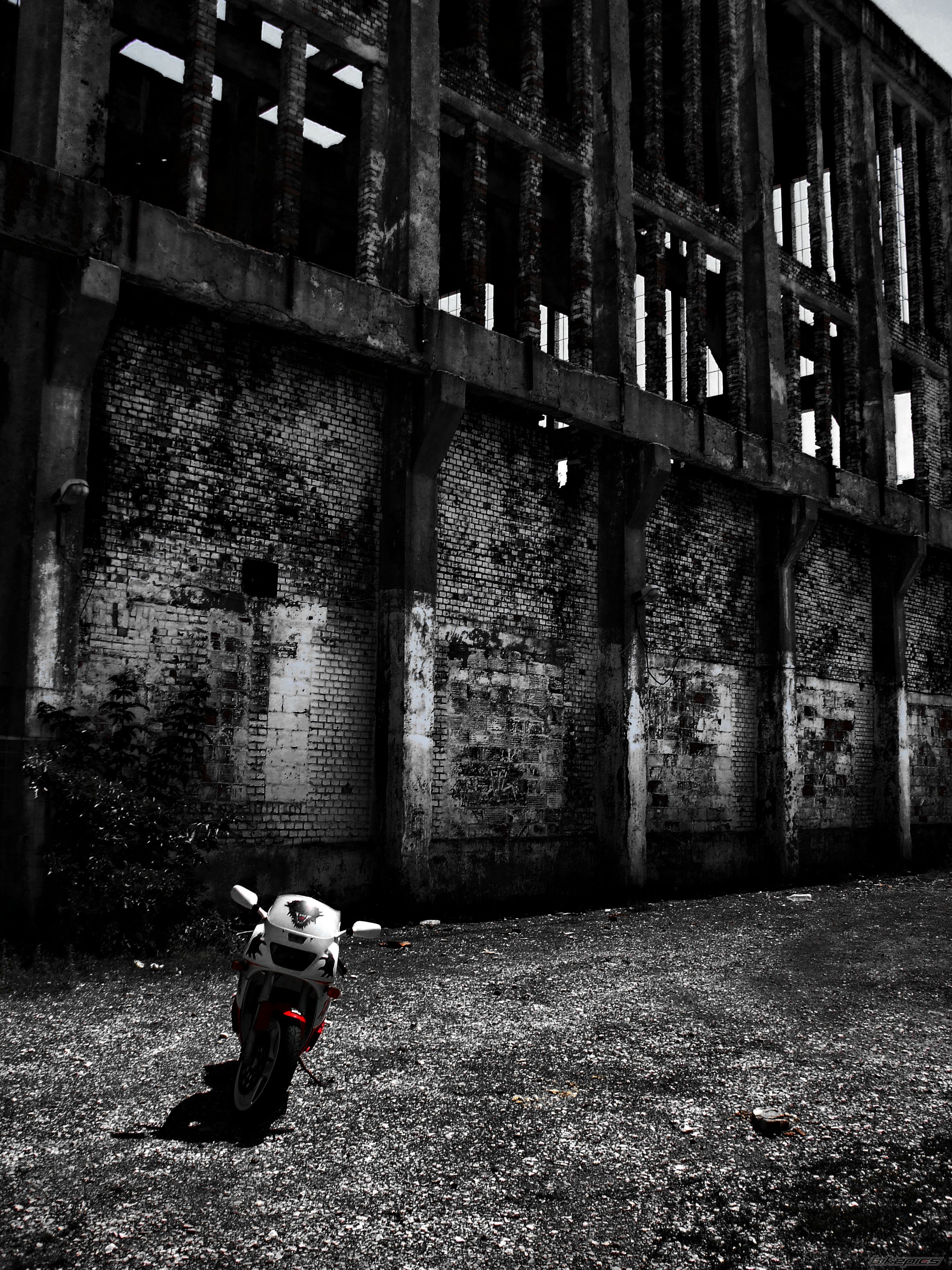 Photo 2436338