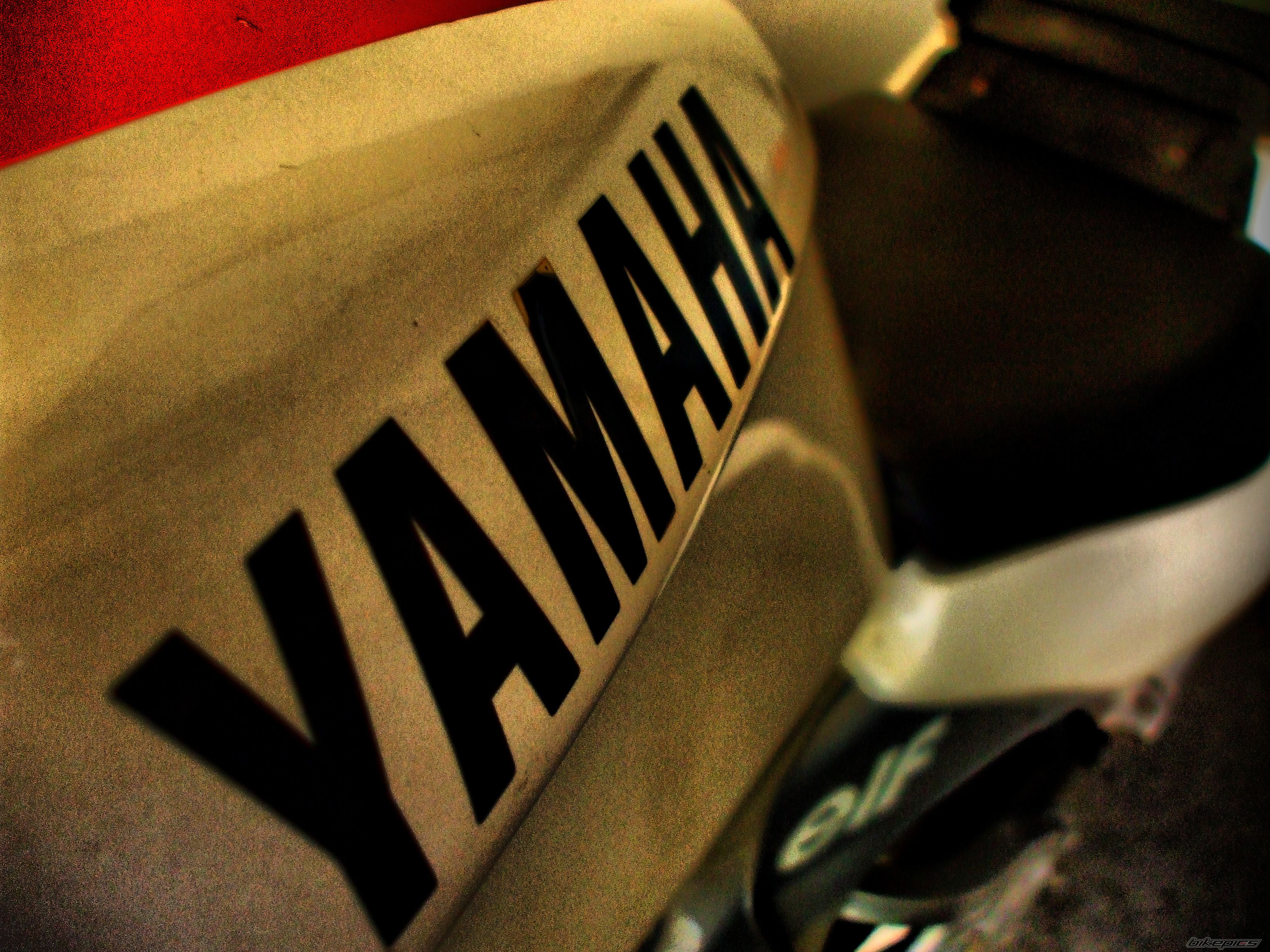 Photo 2436341