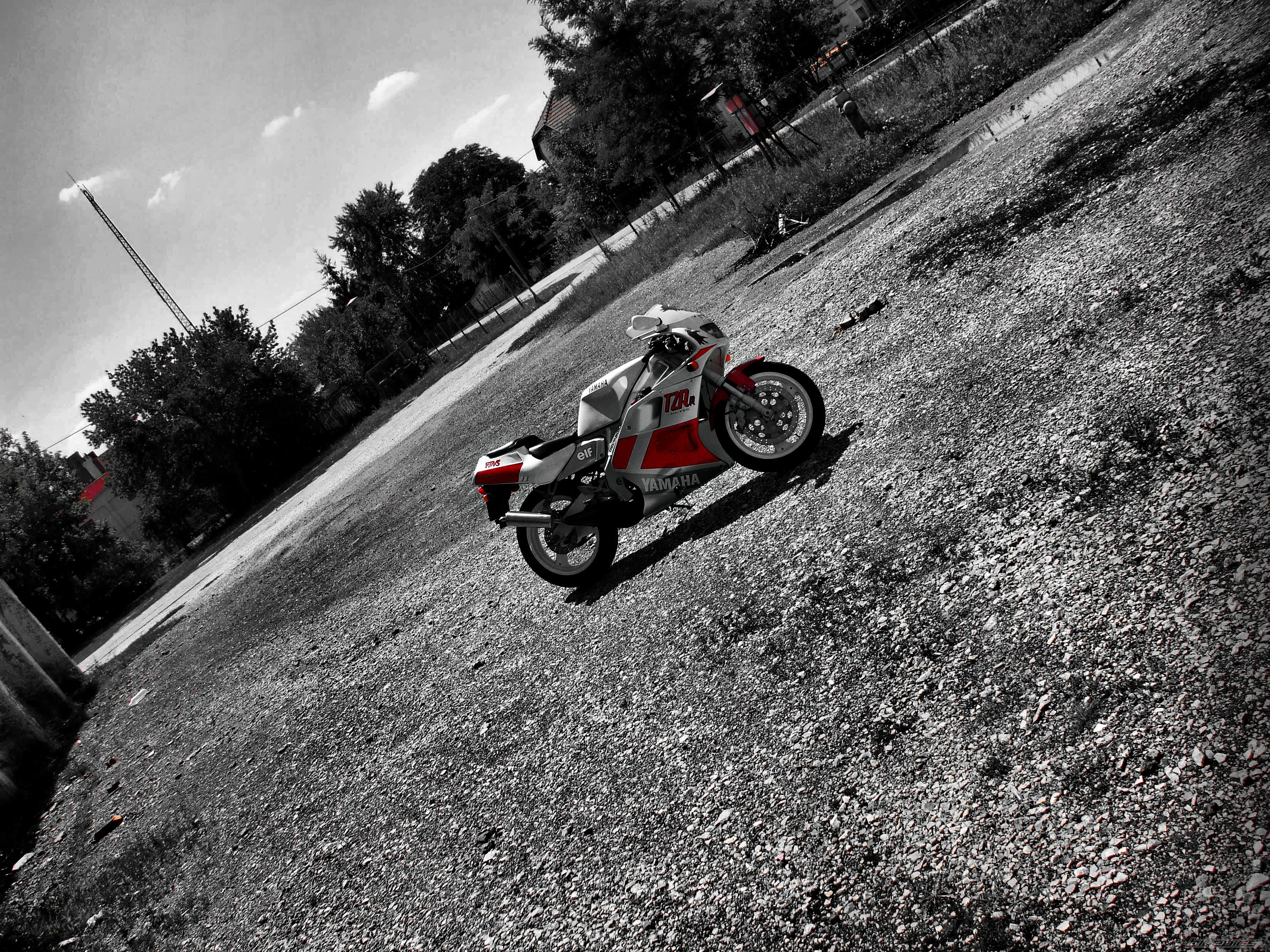 Photo 2436347