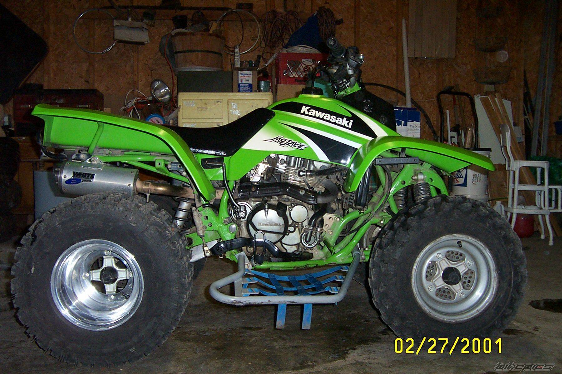 Photo 243636