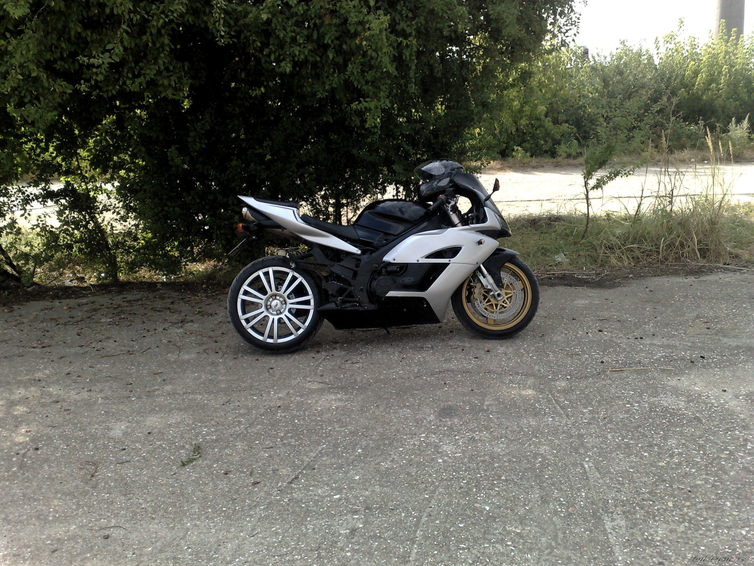 Photo 2436386