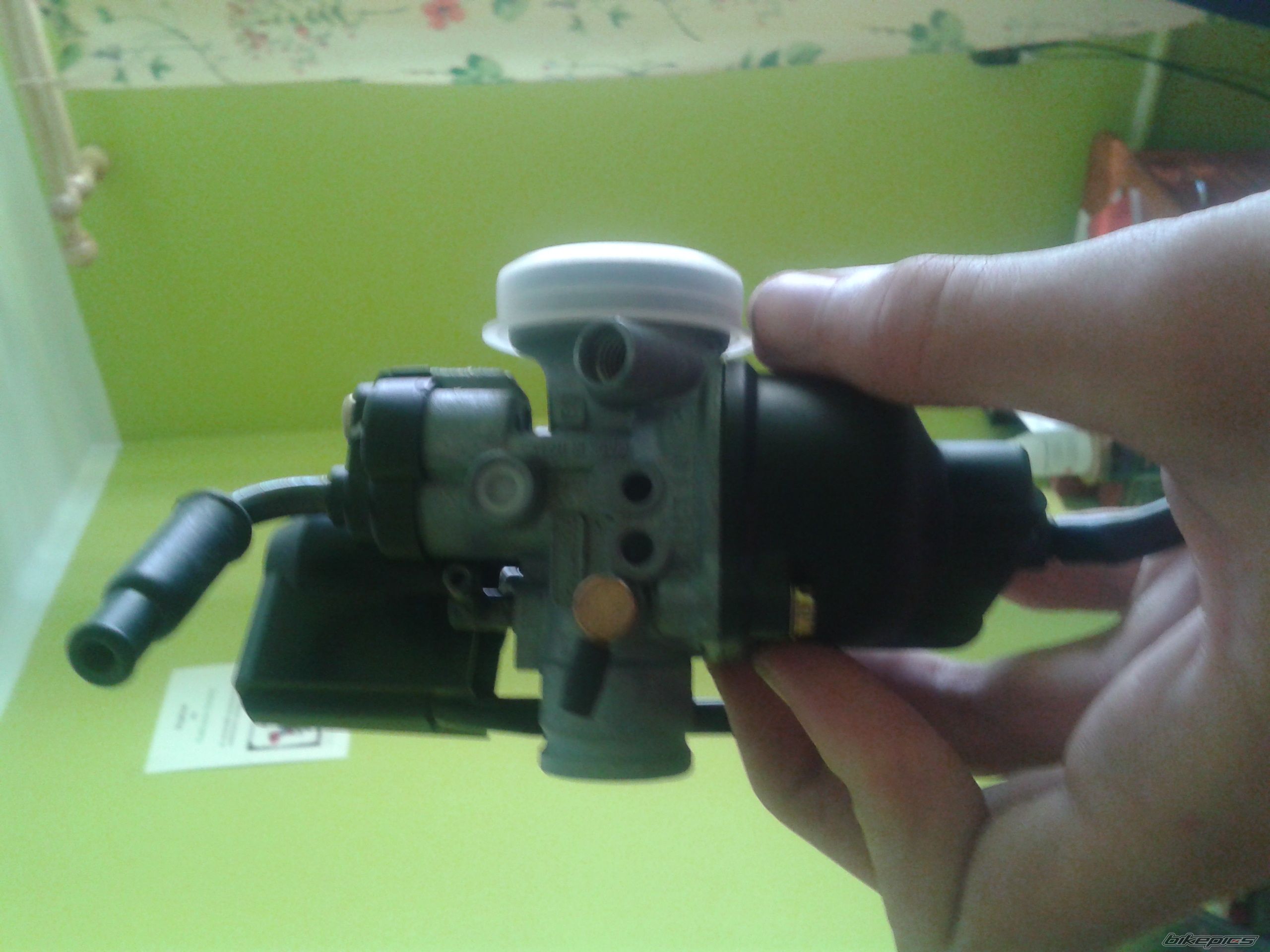 Photo 2436412