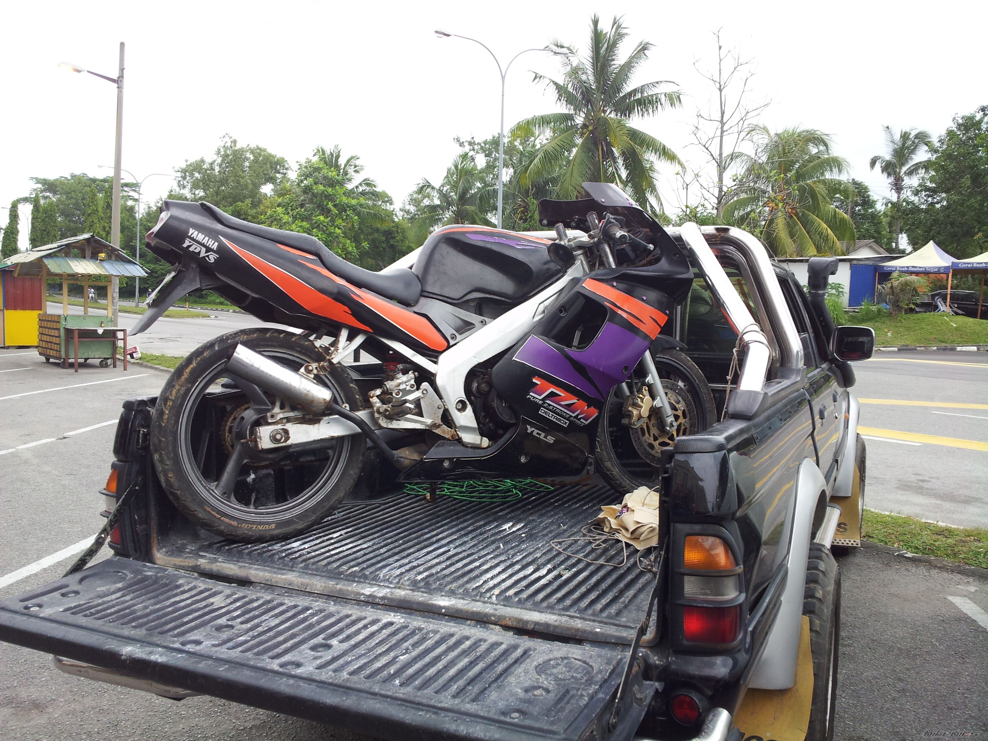 Photo 2436452
