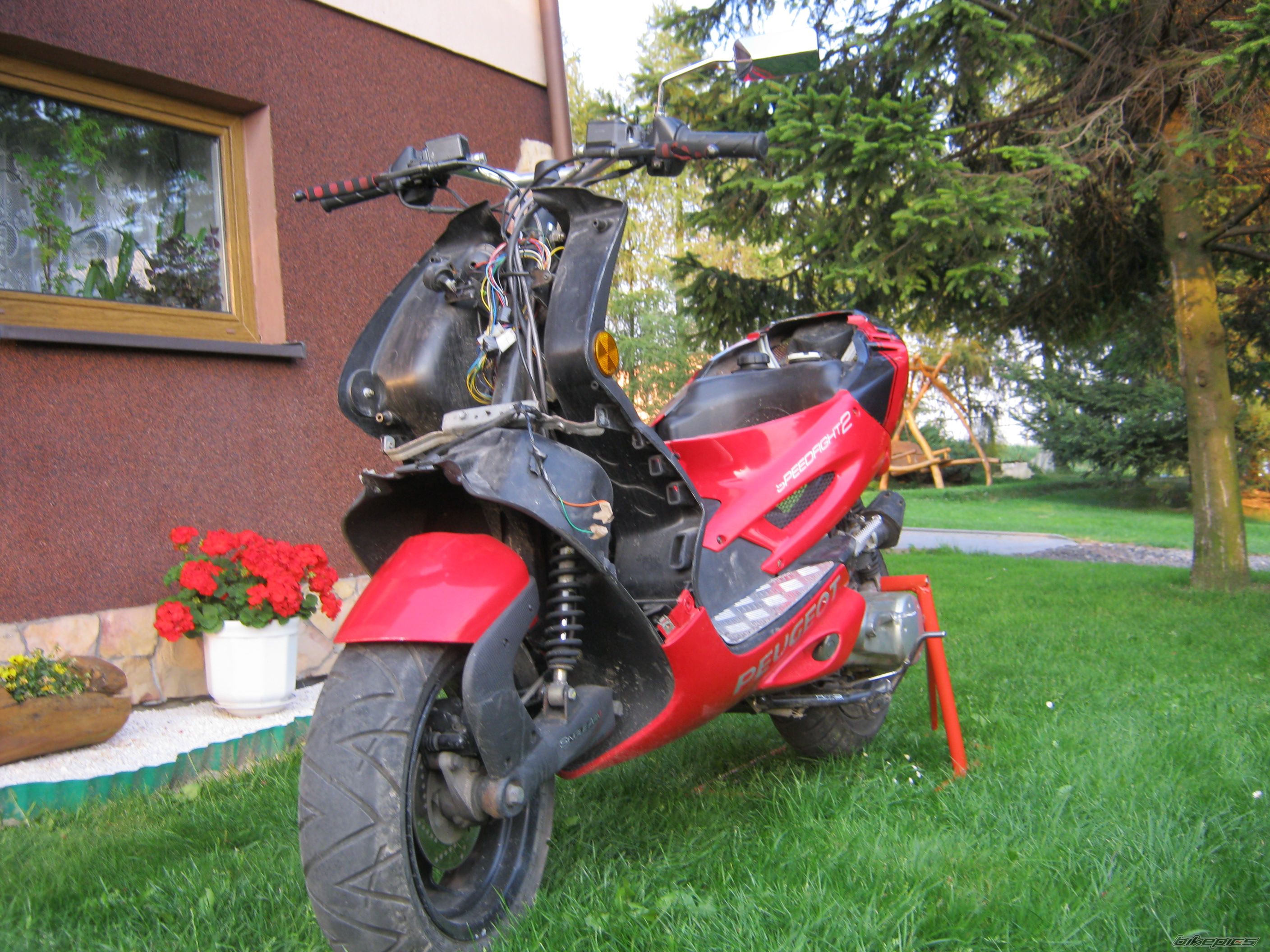 Photo 2436470