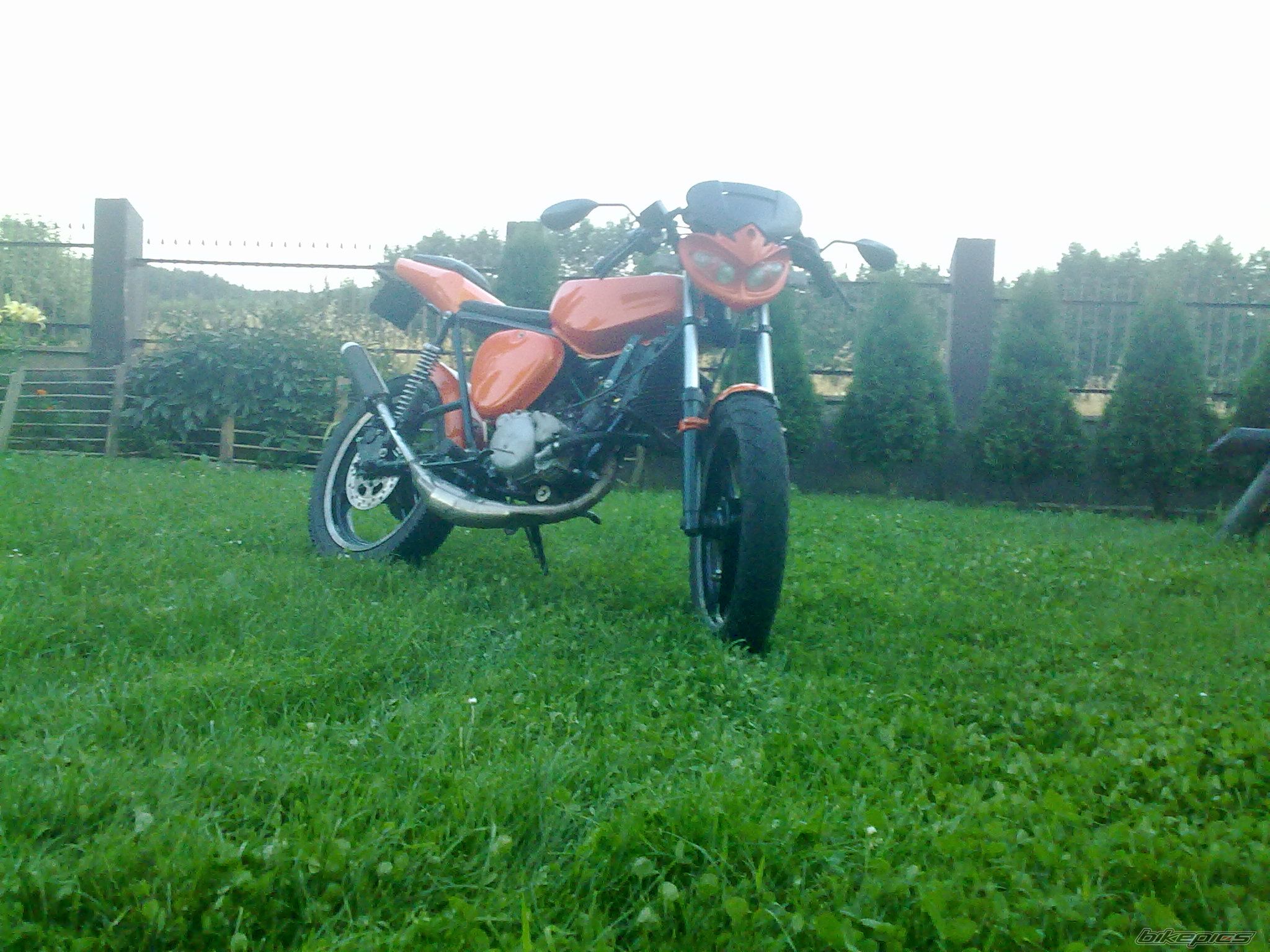 Photo 2436569