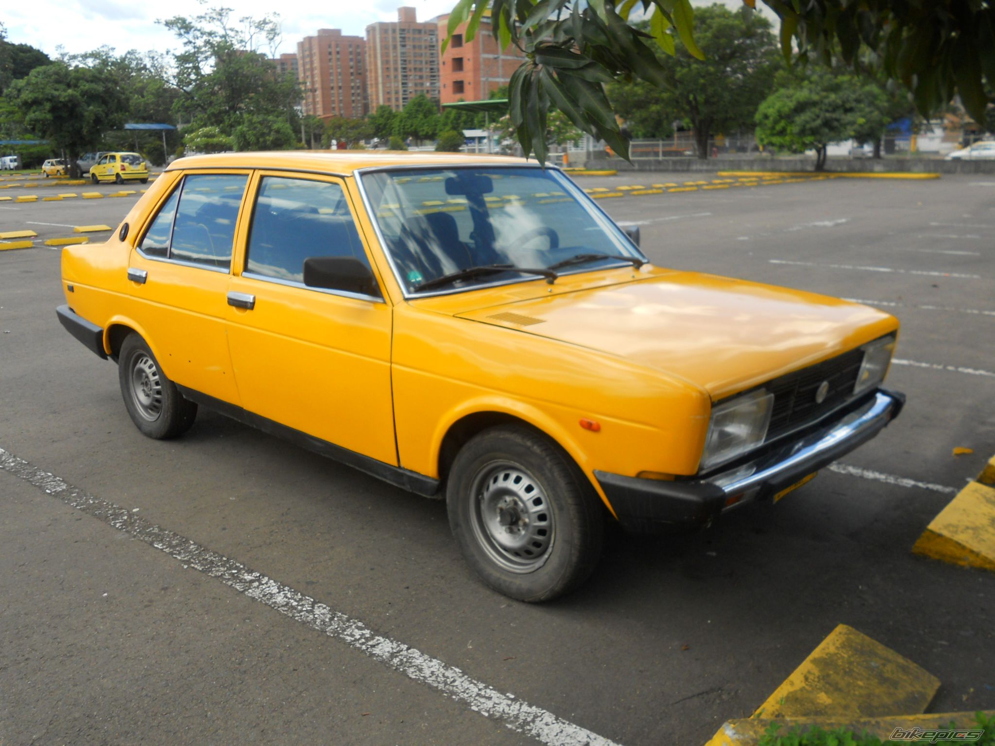 Photo 2436631
